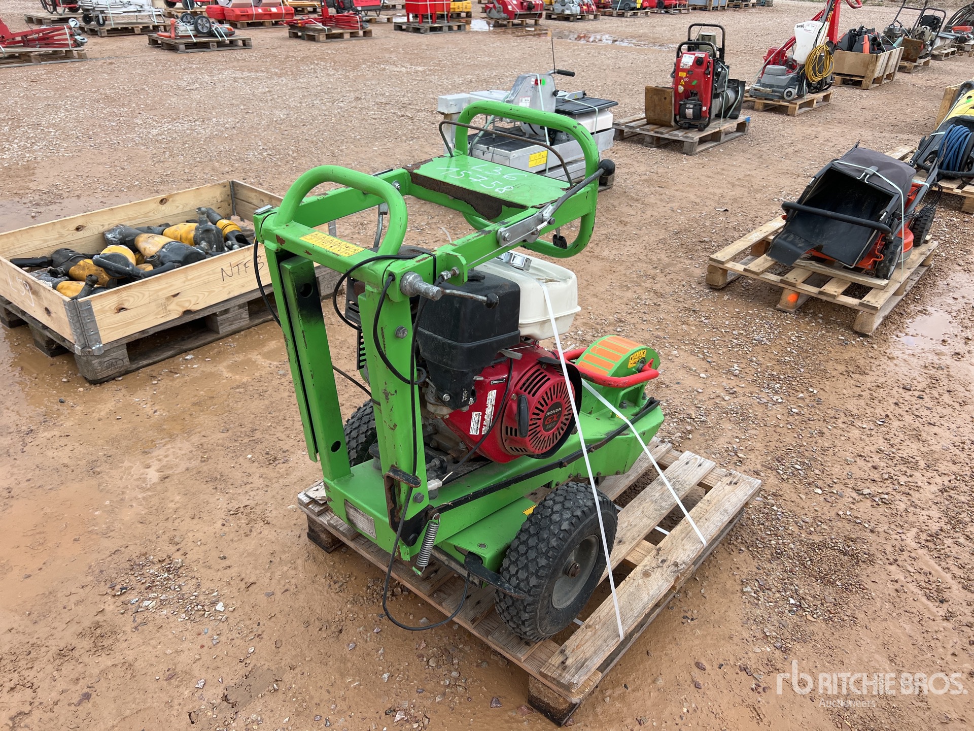 General Appearance with