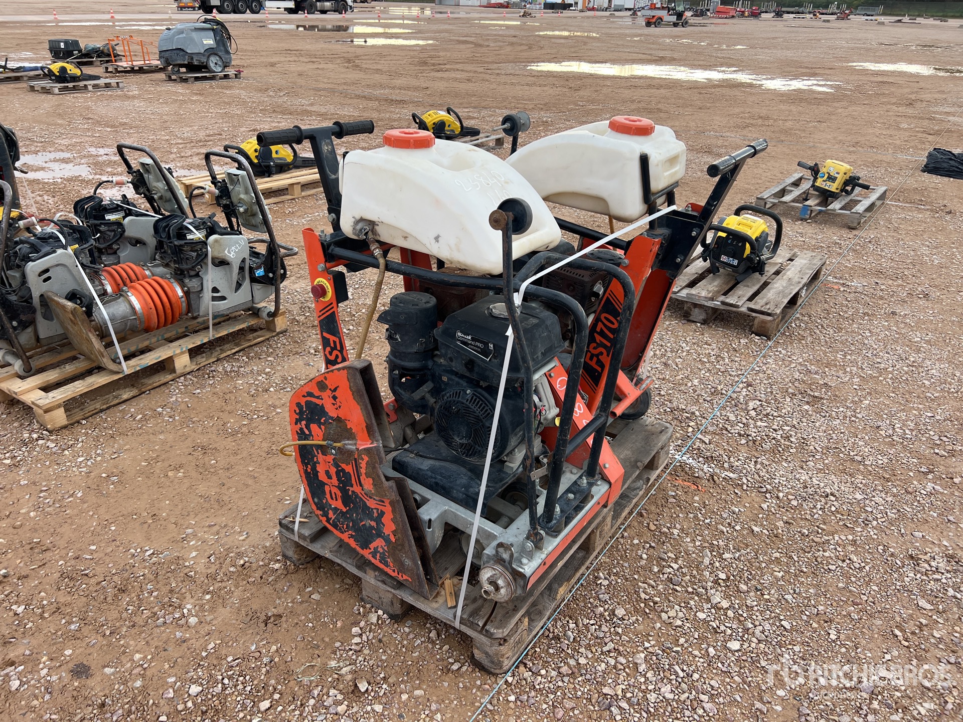 General Appearance with 