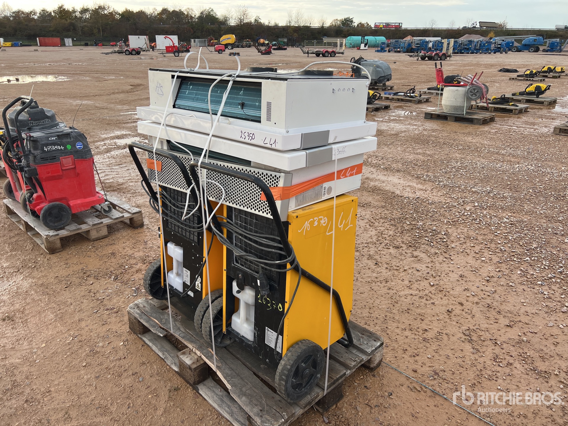 General Appearance with