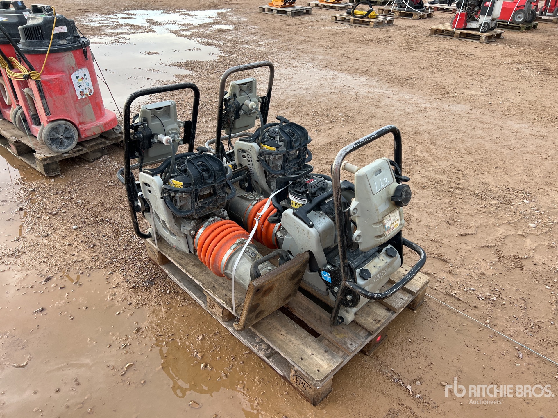 General Appearance with 