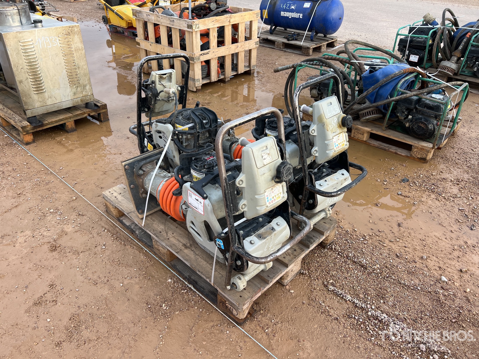 General Appearance with 