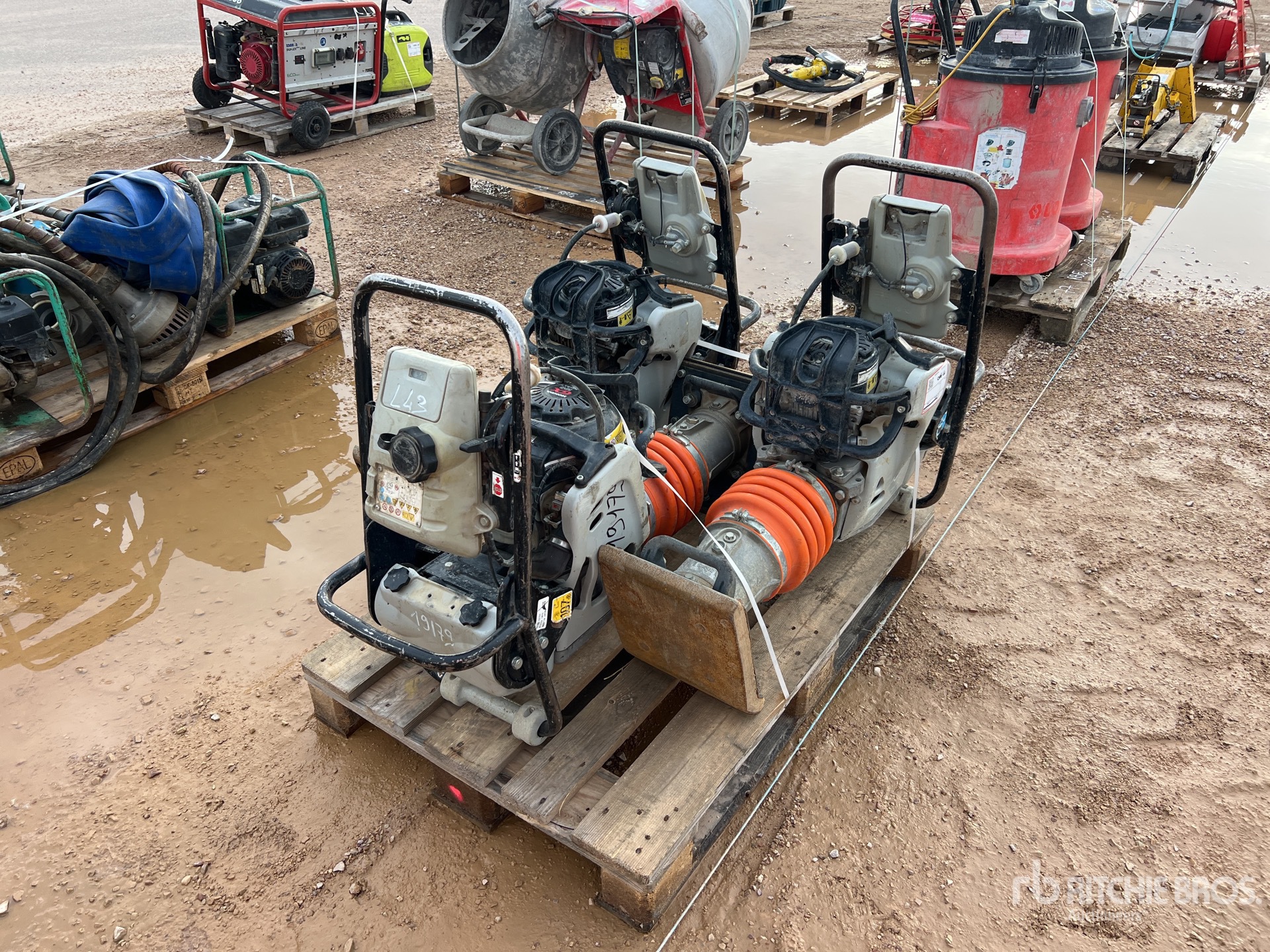 General Appearance with 