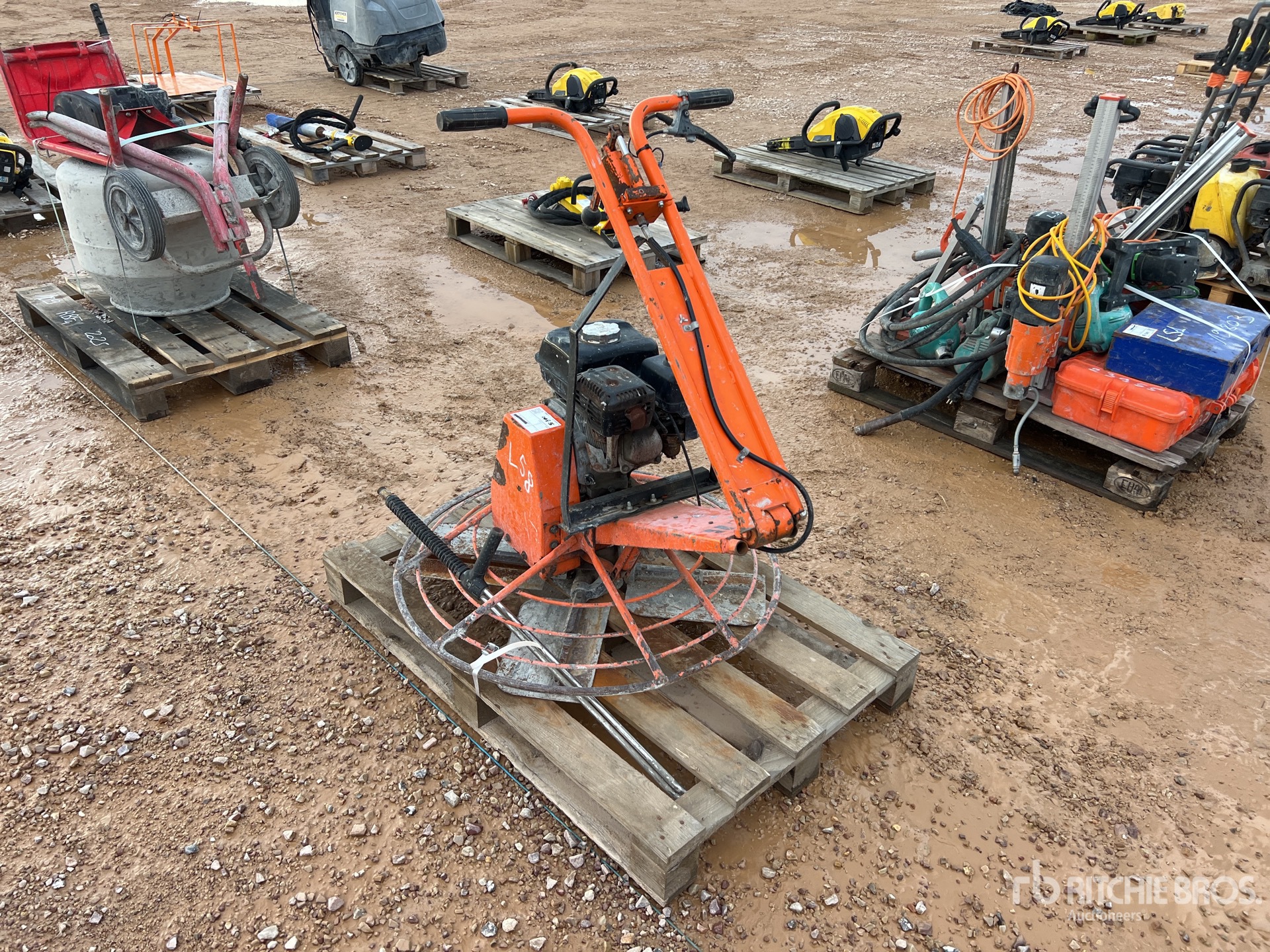 General Appearance with