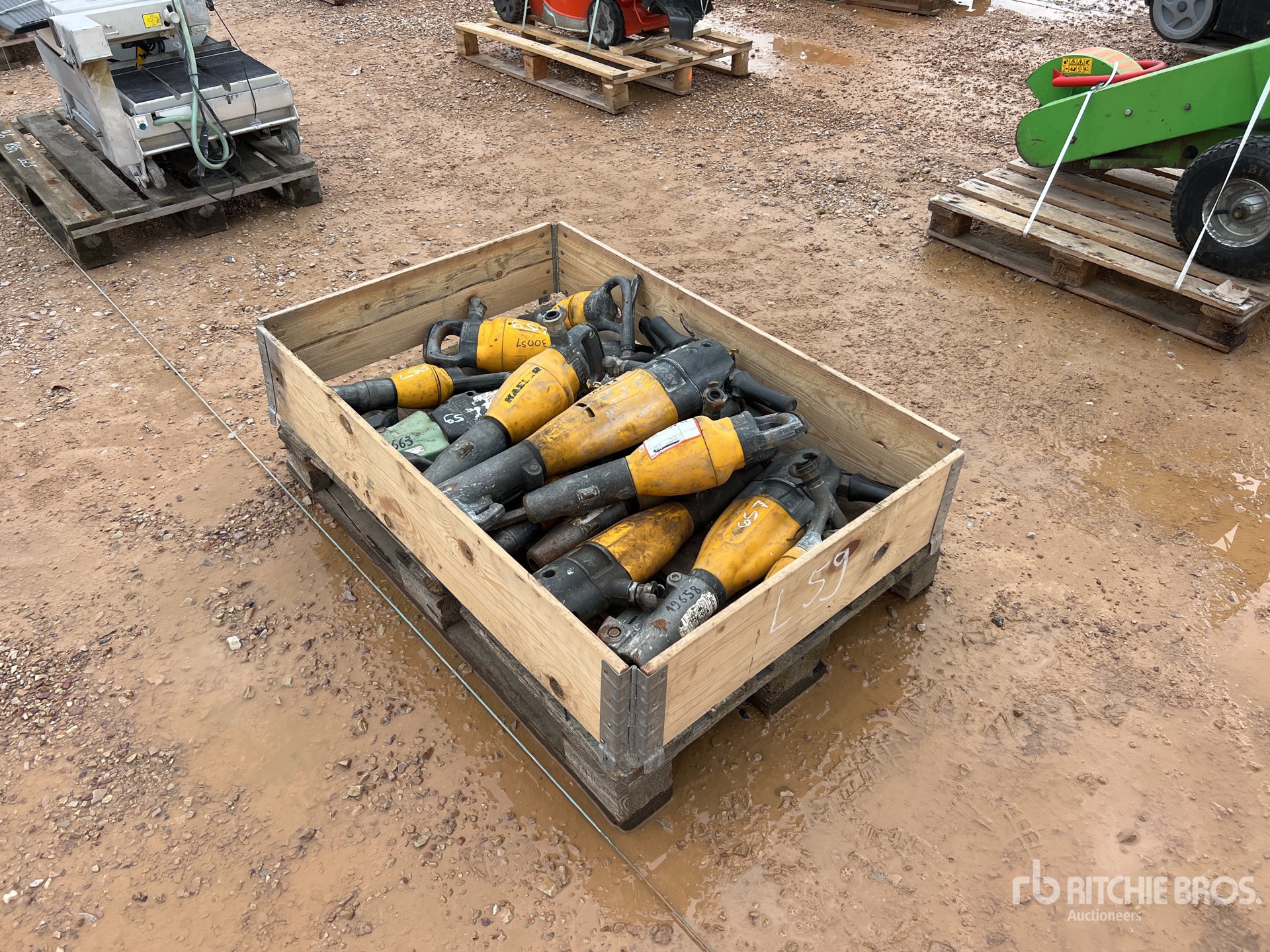 General Appearance with 