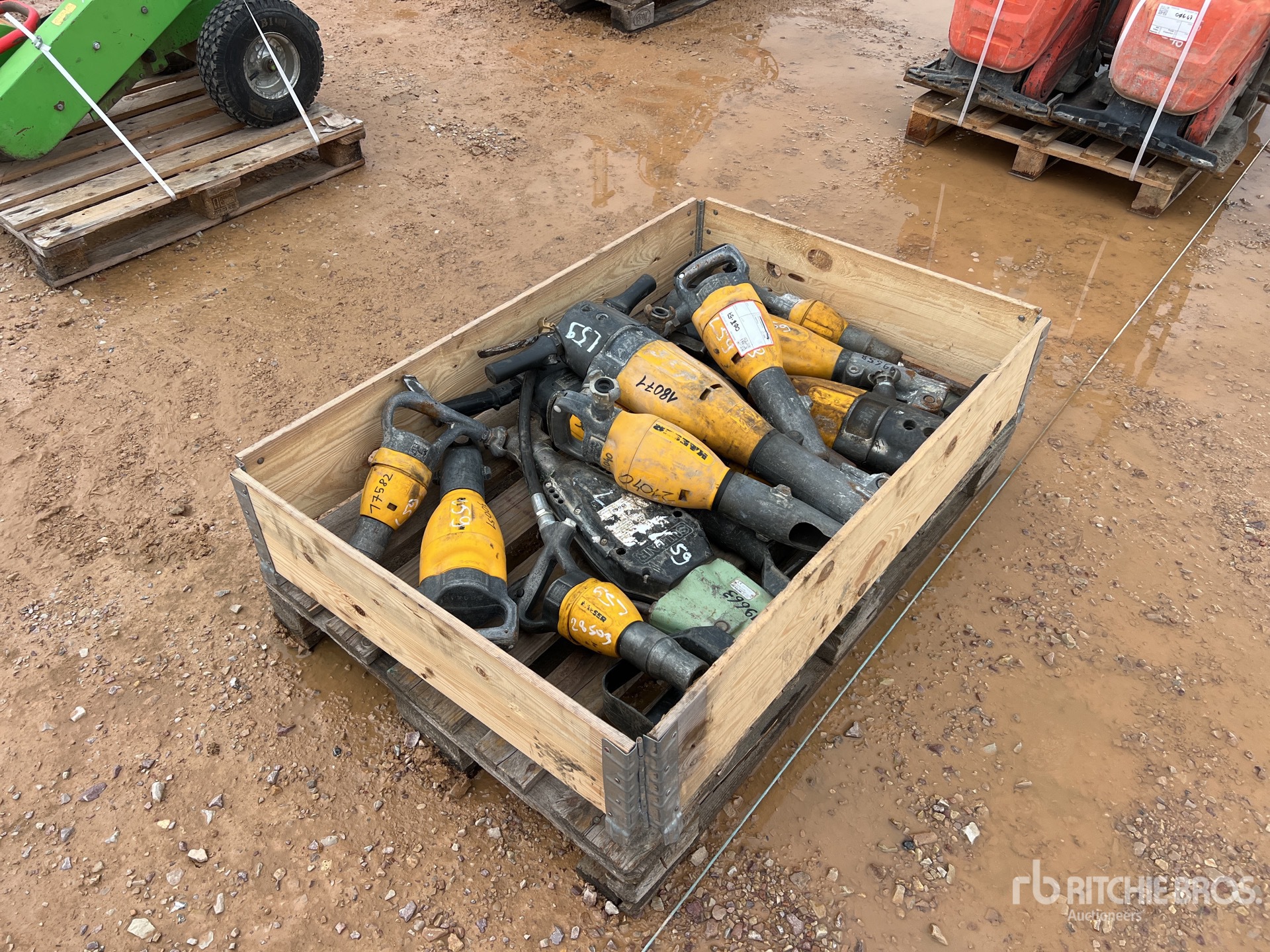 General Appearance with 