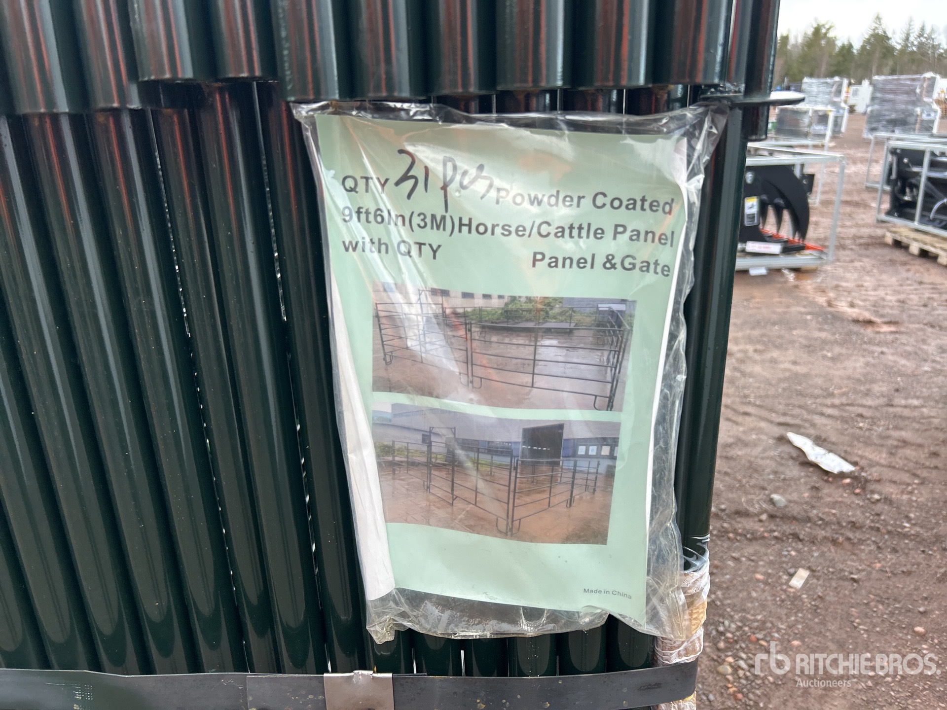 General Appearance with 