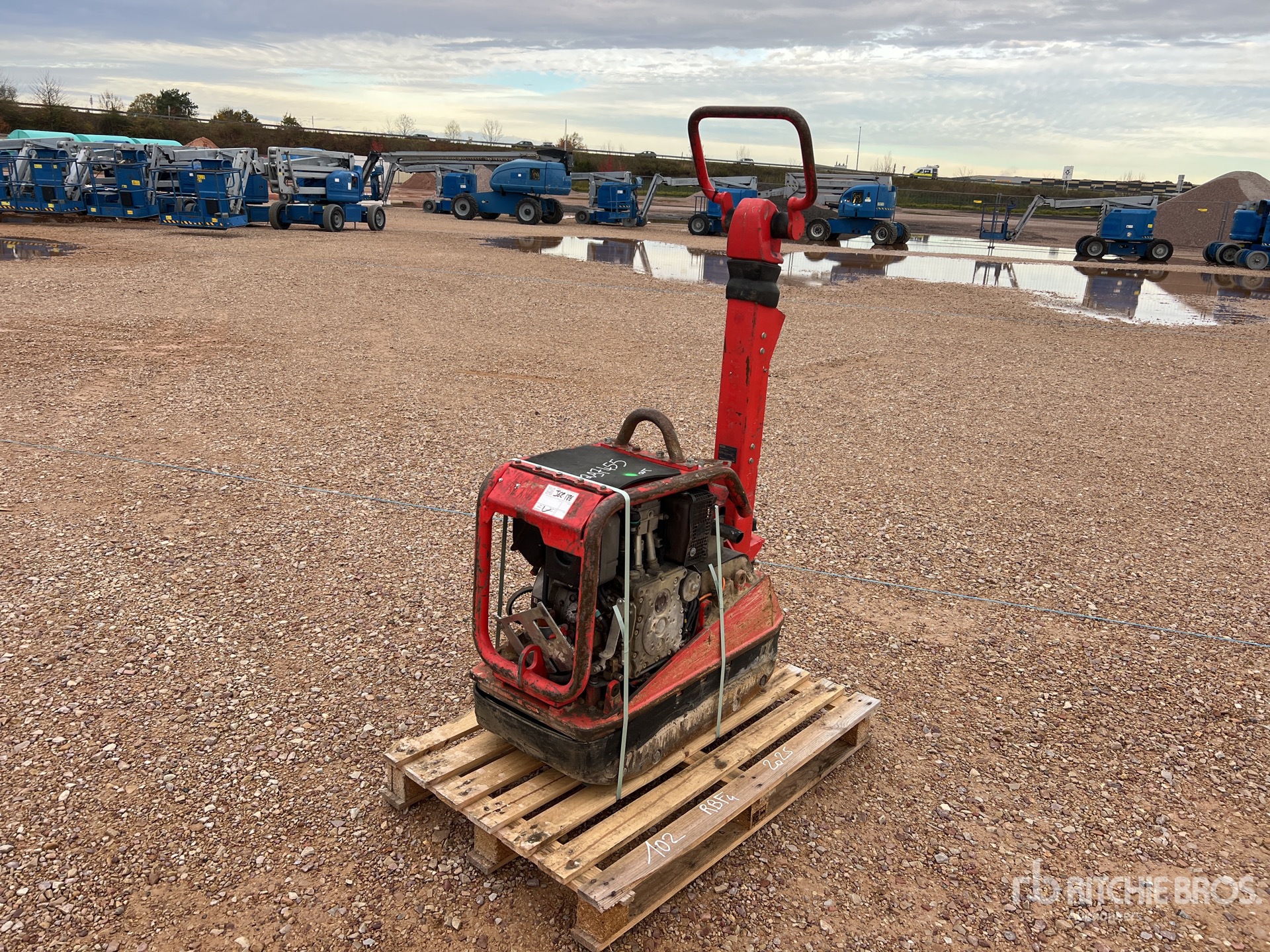 General Appearance with