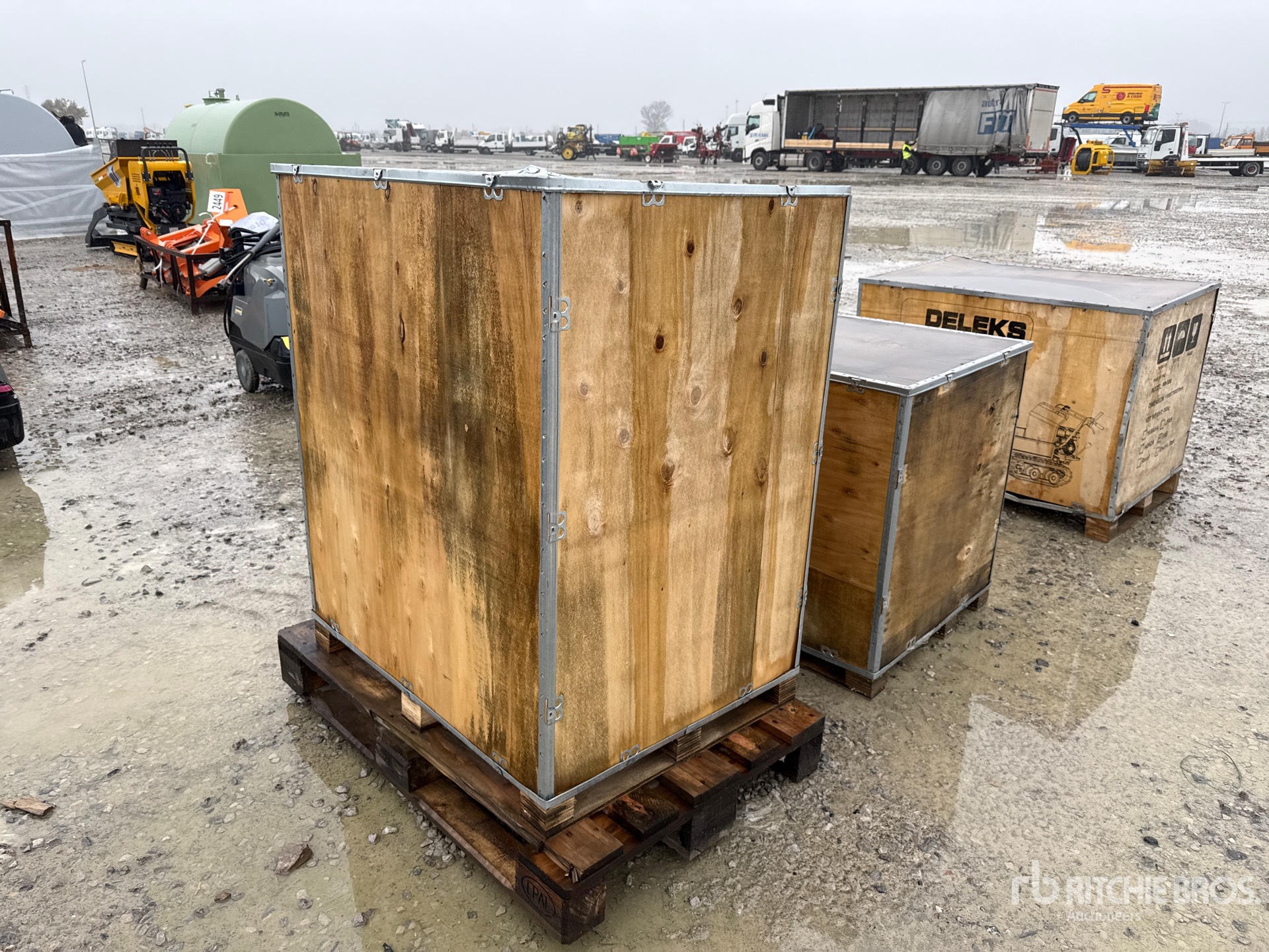 General Appearance with 