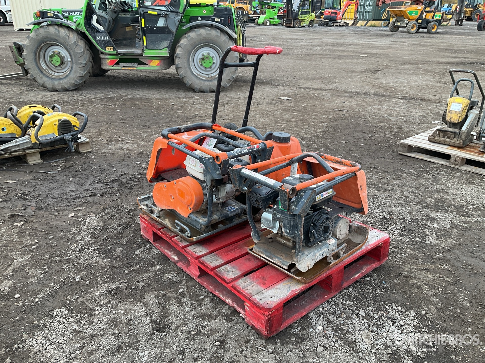 General Appearance with Zdjęcie, prawy dolny róg