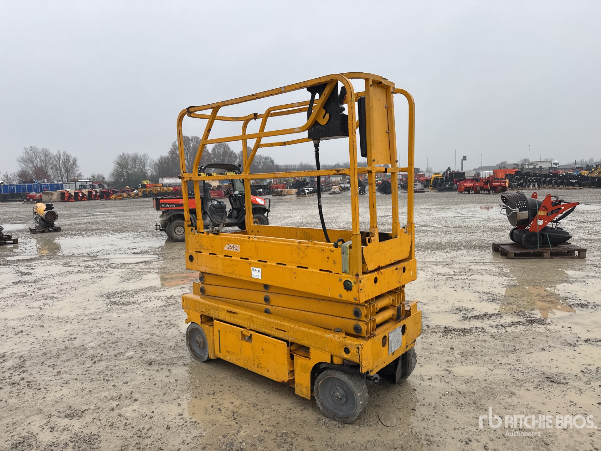 General Appearance with 