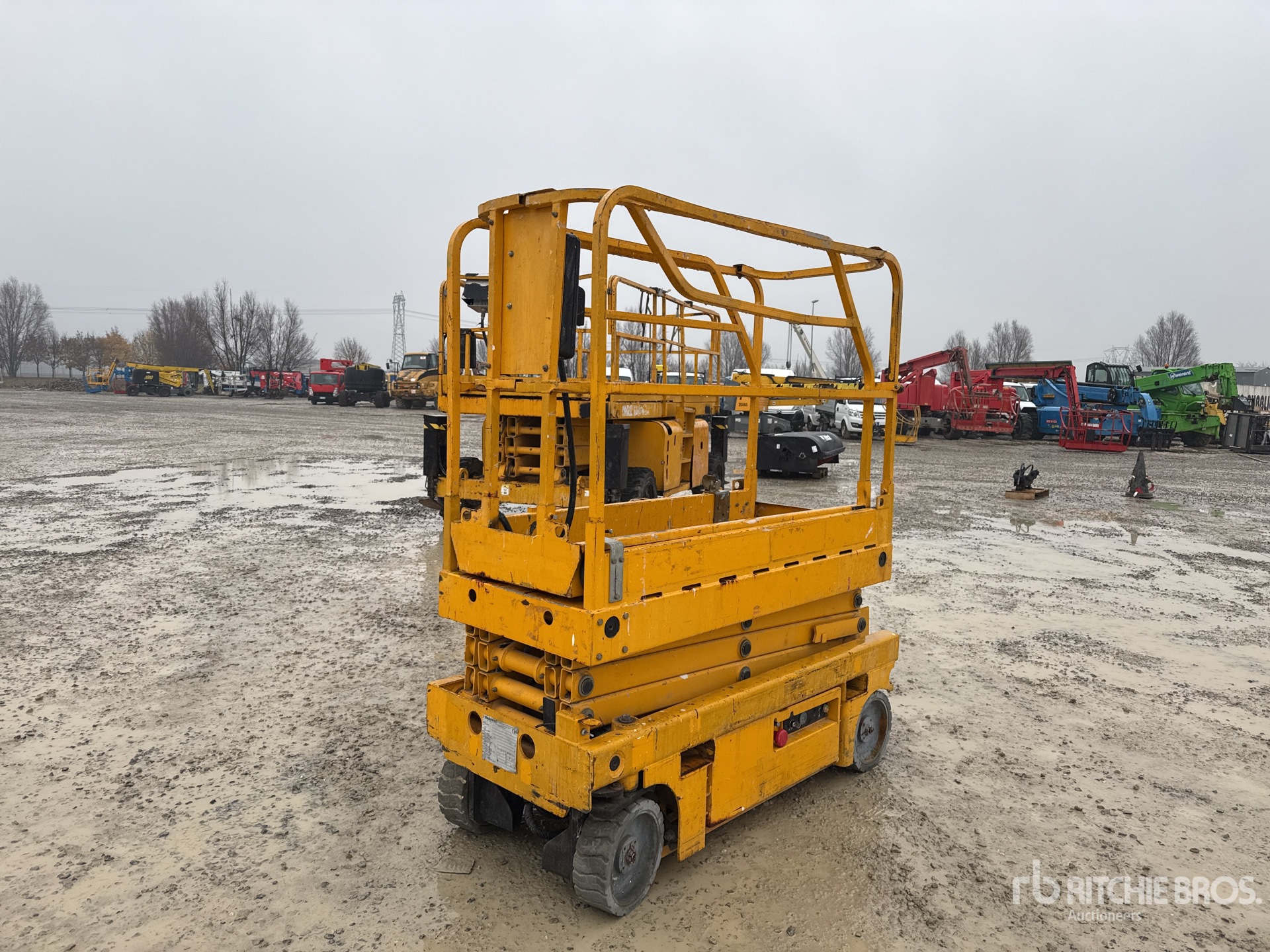 General Appearance with 