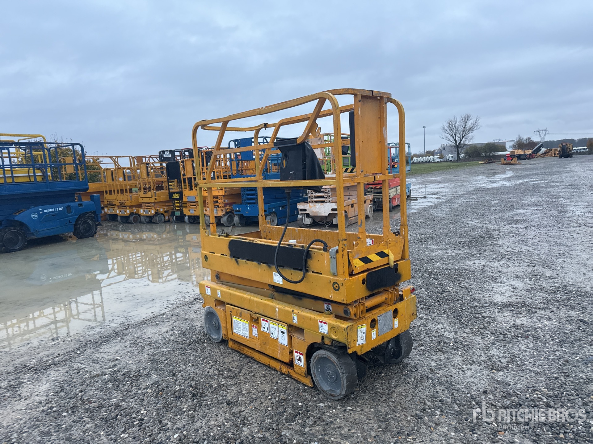 General Appearance with