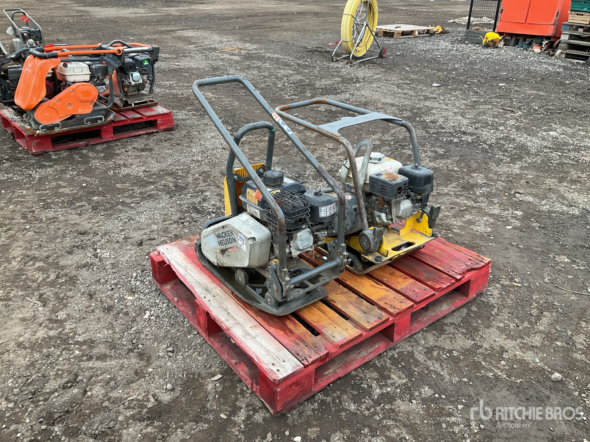 General Appearance with Zdjęcie, lewy dolny róg