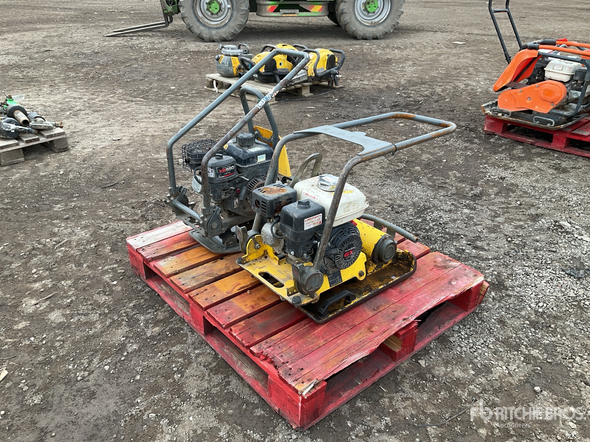 General Appearance with Zdjęcie, prawy dolny róg