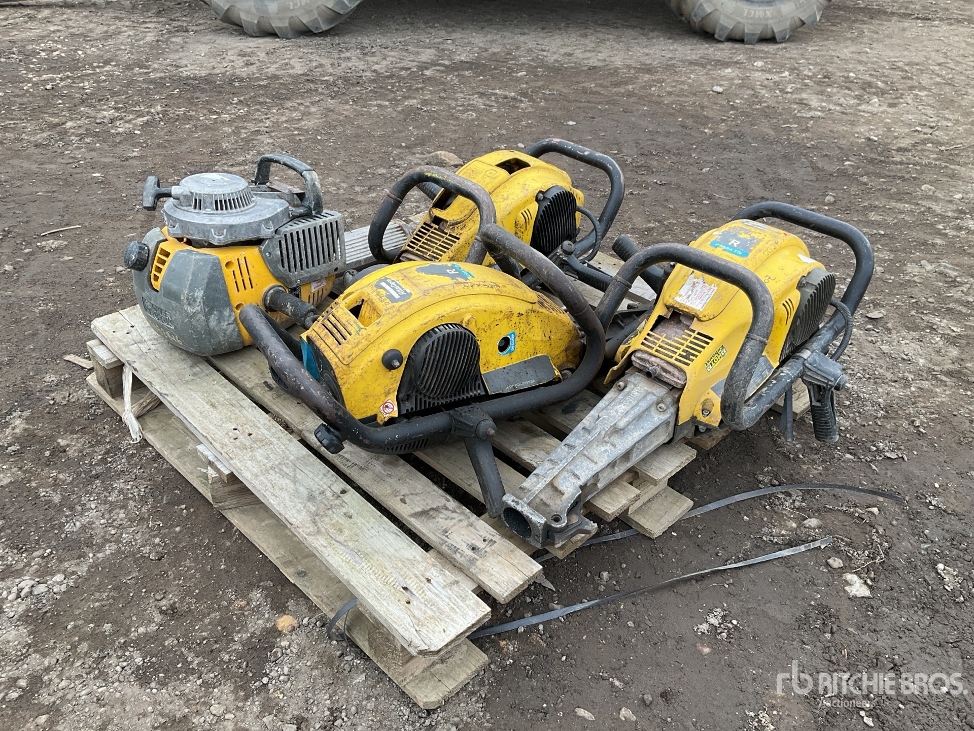 General Appearance with Zdjęcie, prawy dolny róg