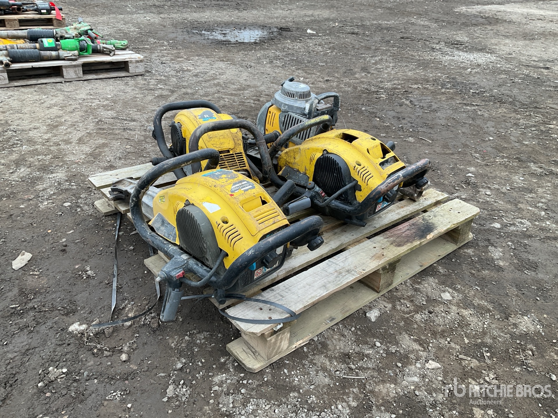 General Appearance with Zdjęcie, prawy górny róg