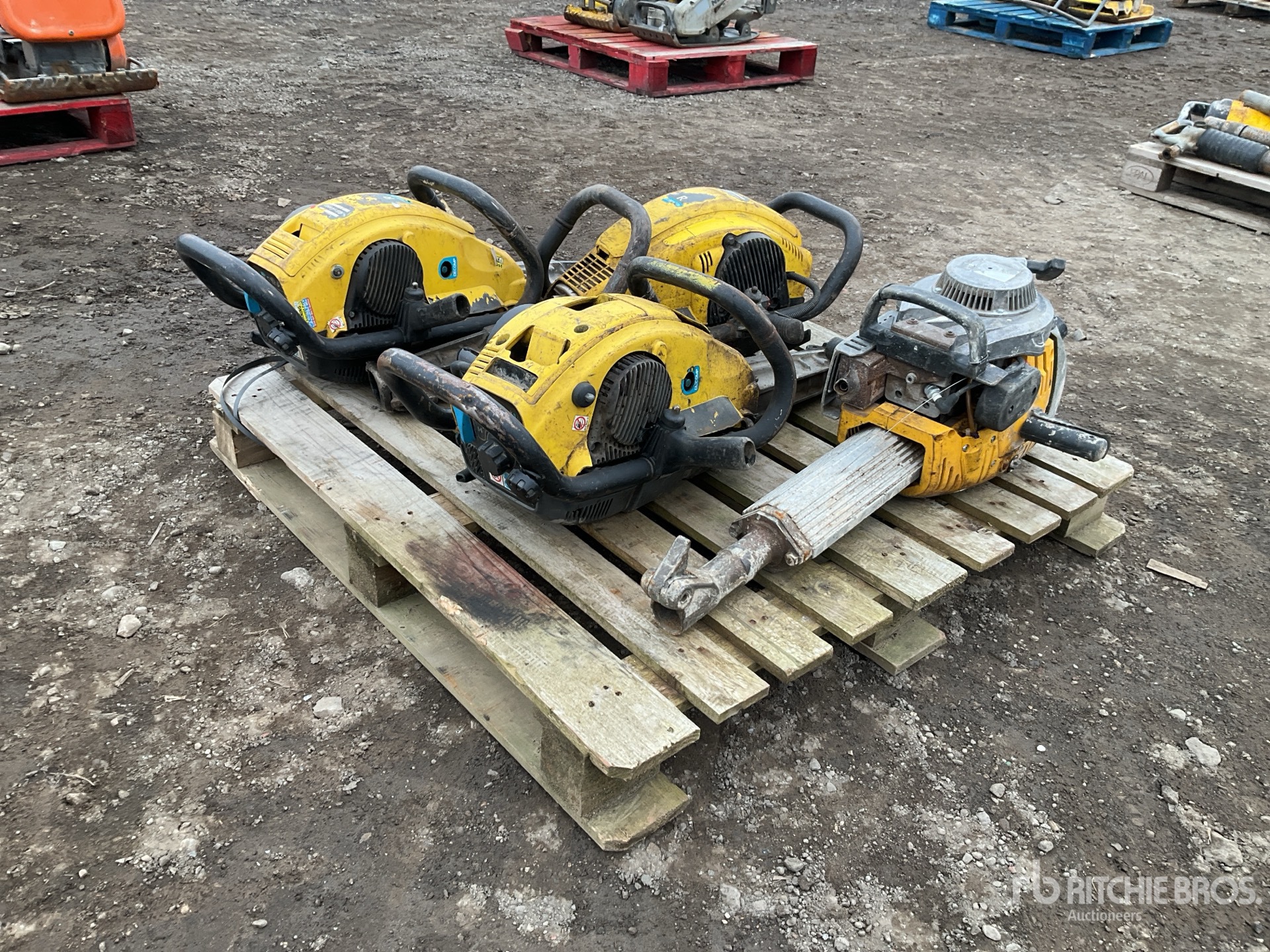 General Appearance with Zdjęcie, lewy górny róg