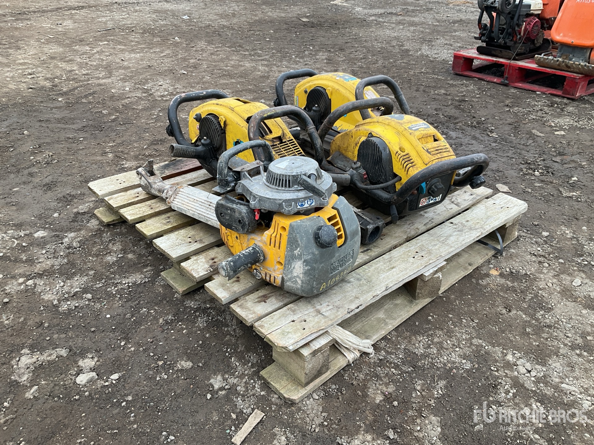 General Appearance with Zdjęcie, lewy dolny róg