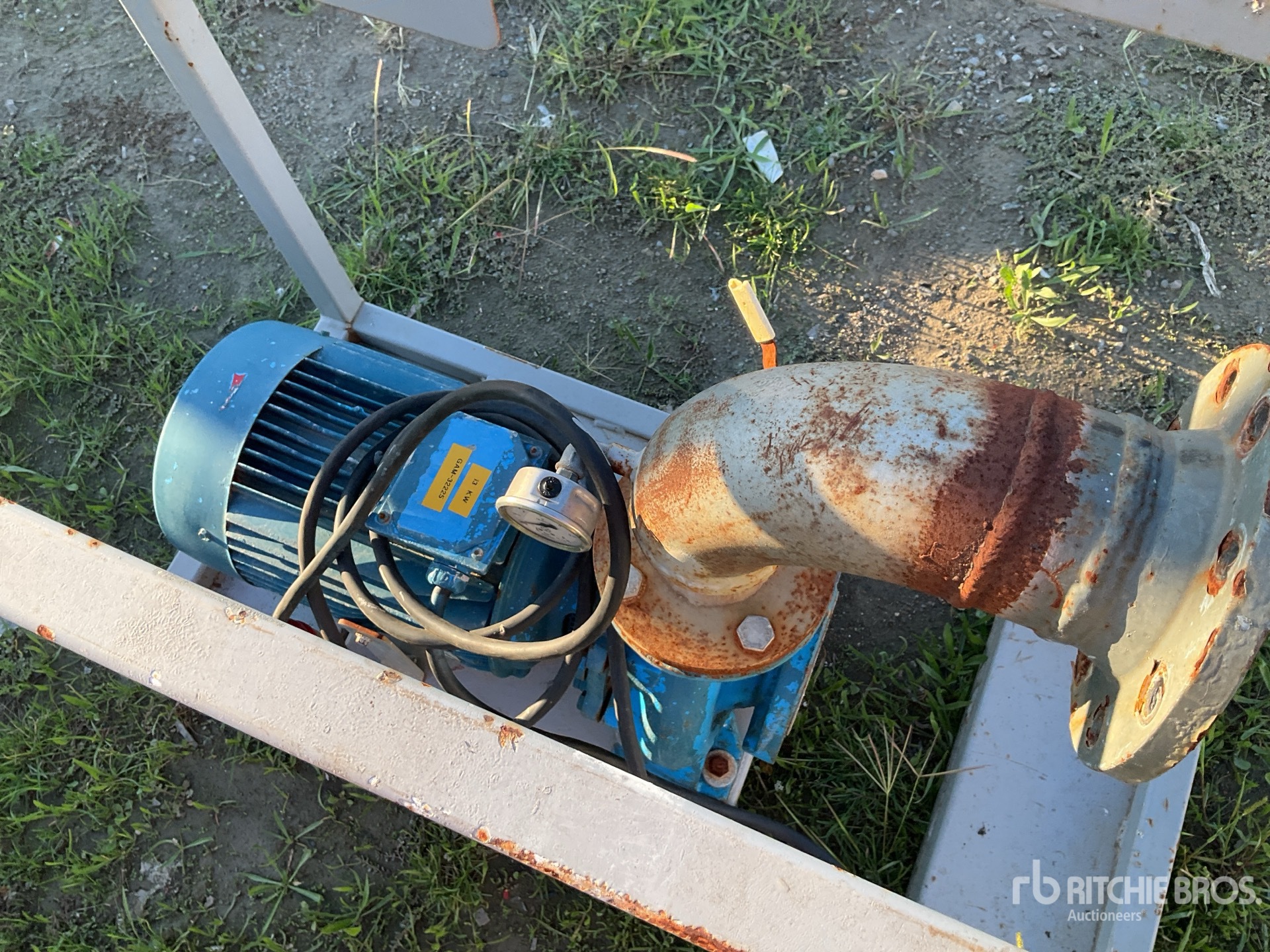 General Appearance with