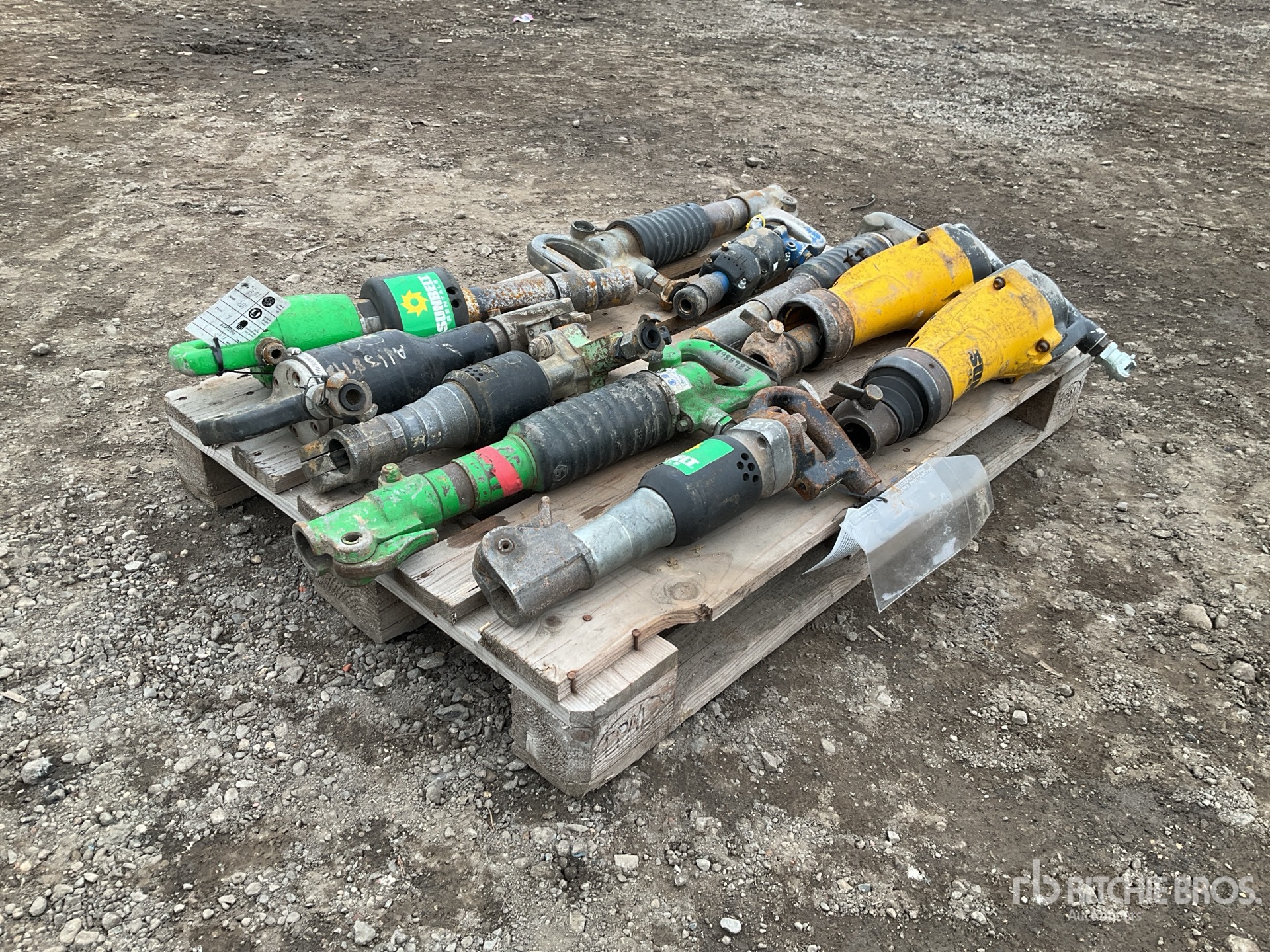 General Appearance with Zdjęcie, lewy dolny róg