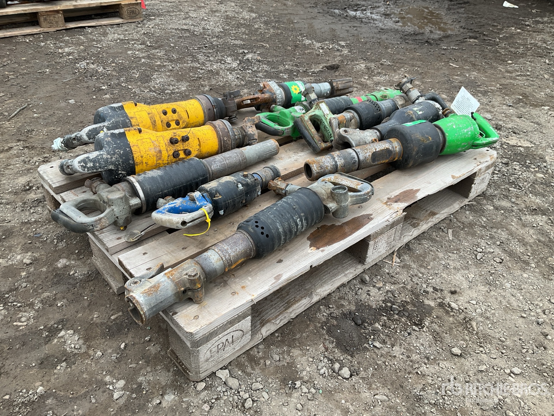 General Appearance with Zdjęcie, prawy górny róg