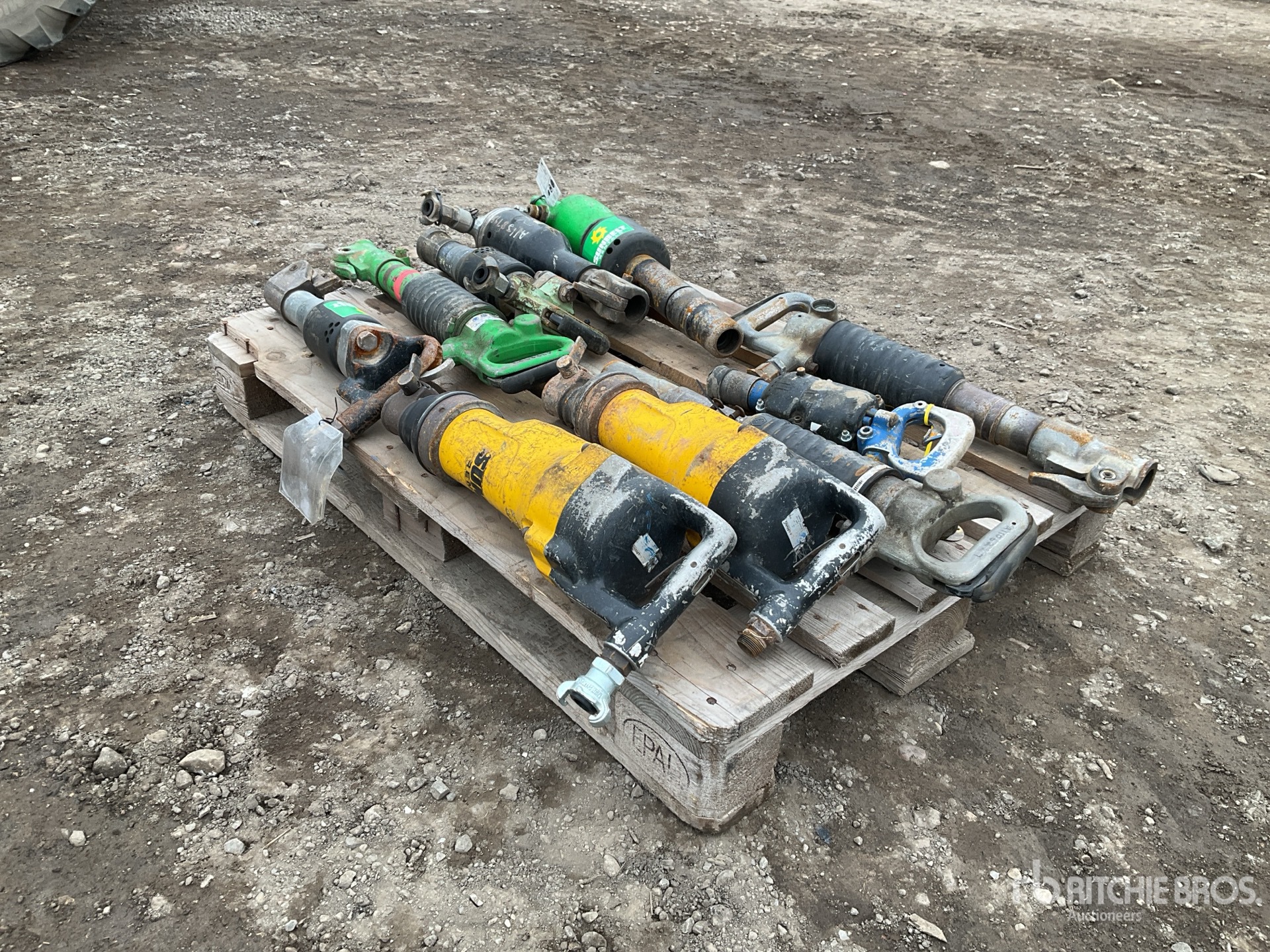 General Appearance with Zdjęcie, prawy dolny róg