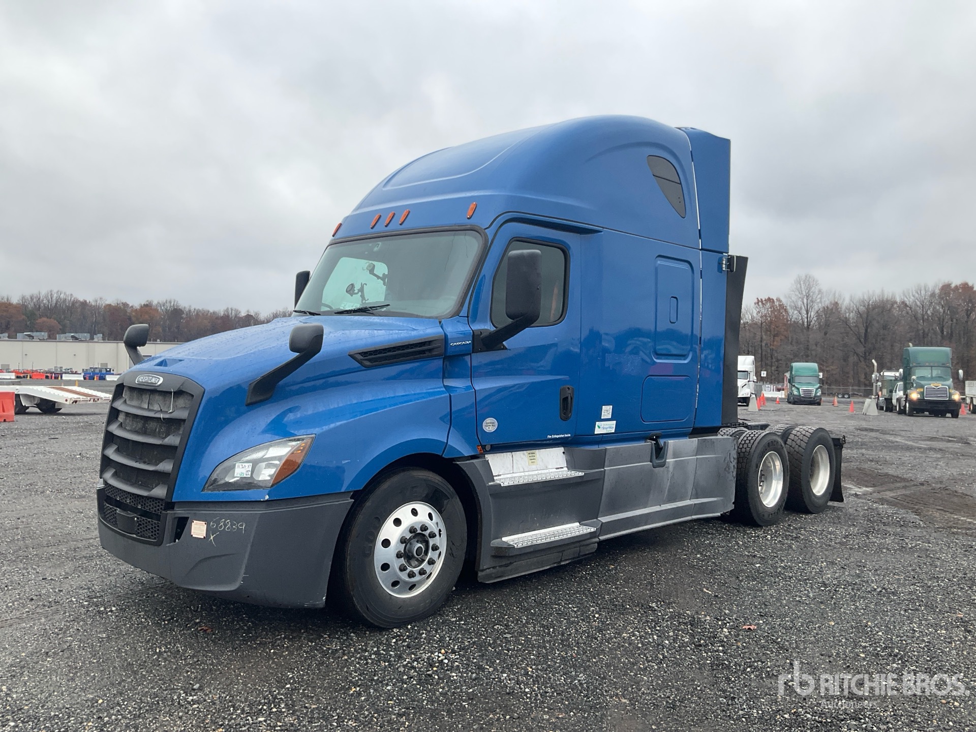 General Appearance with Spin