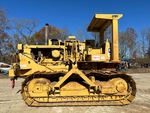 General Appearance with Paint
