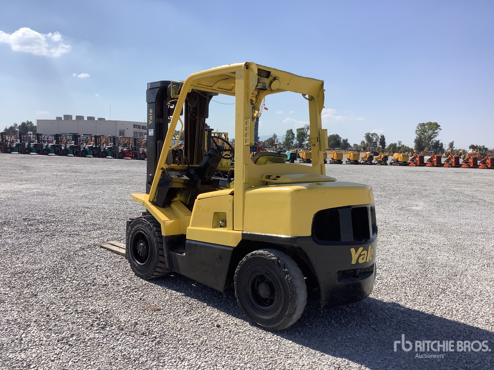 General Appearance with Zdjęcie, lewy dolny róg