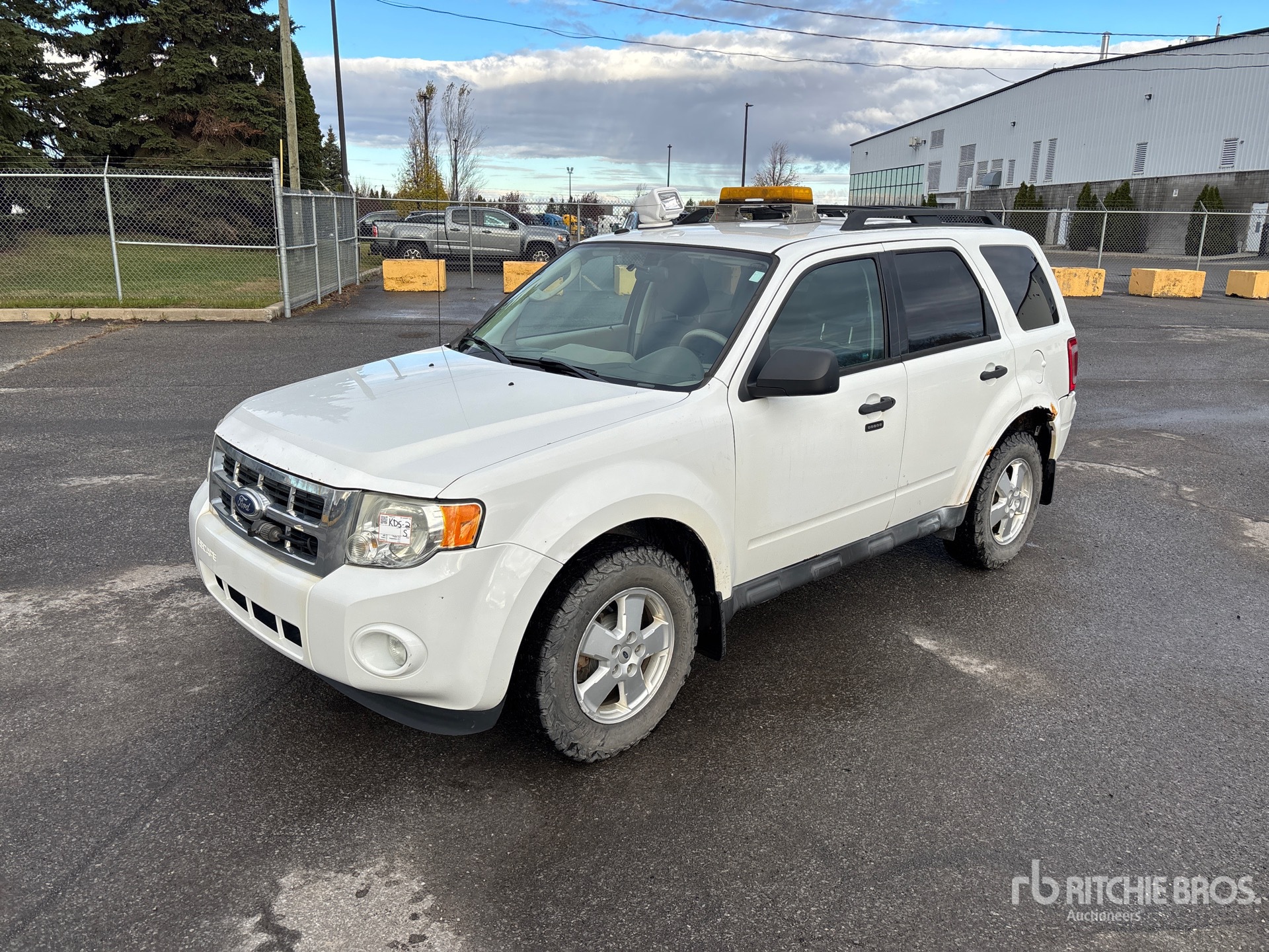 General Appearance with Spin