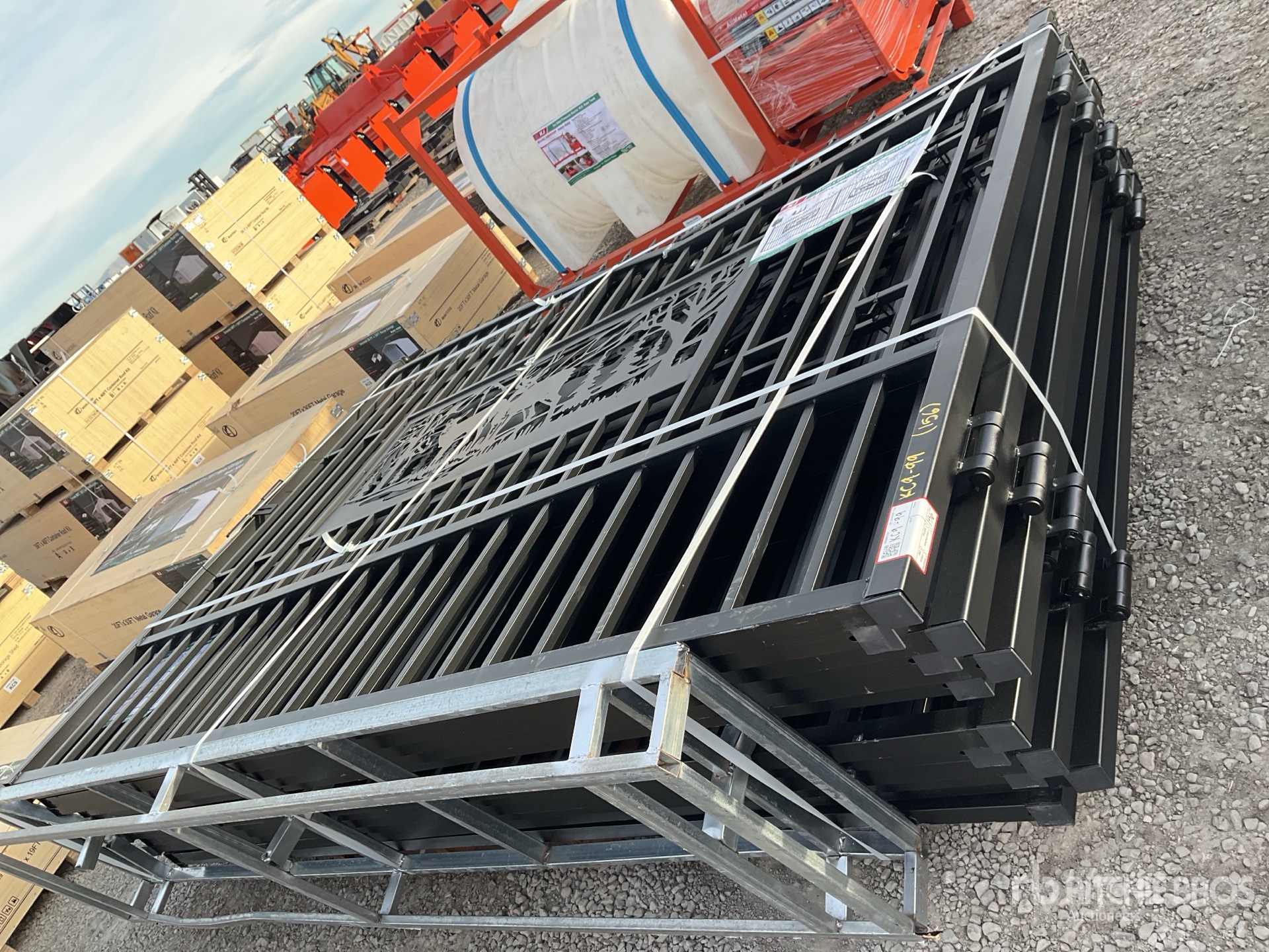 General Appearance with 