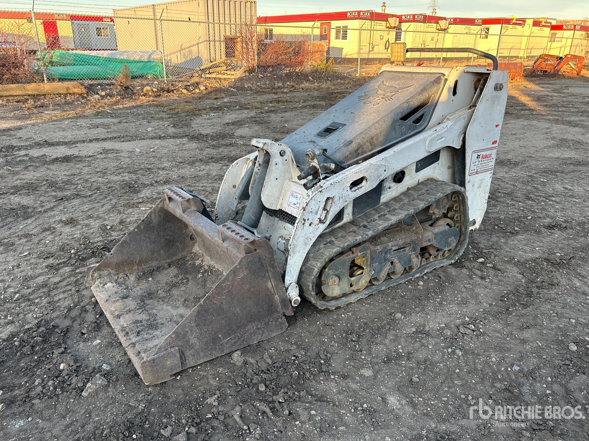 General Appearance with Spin