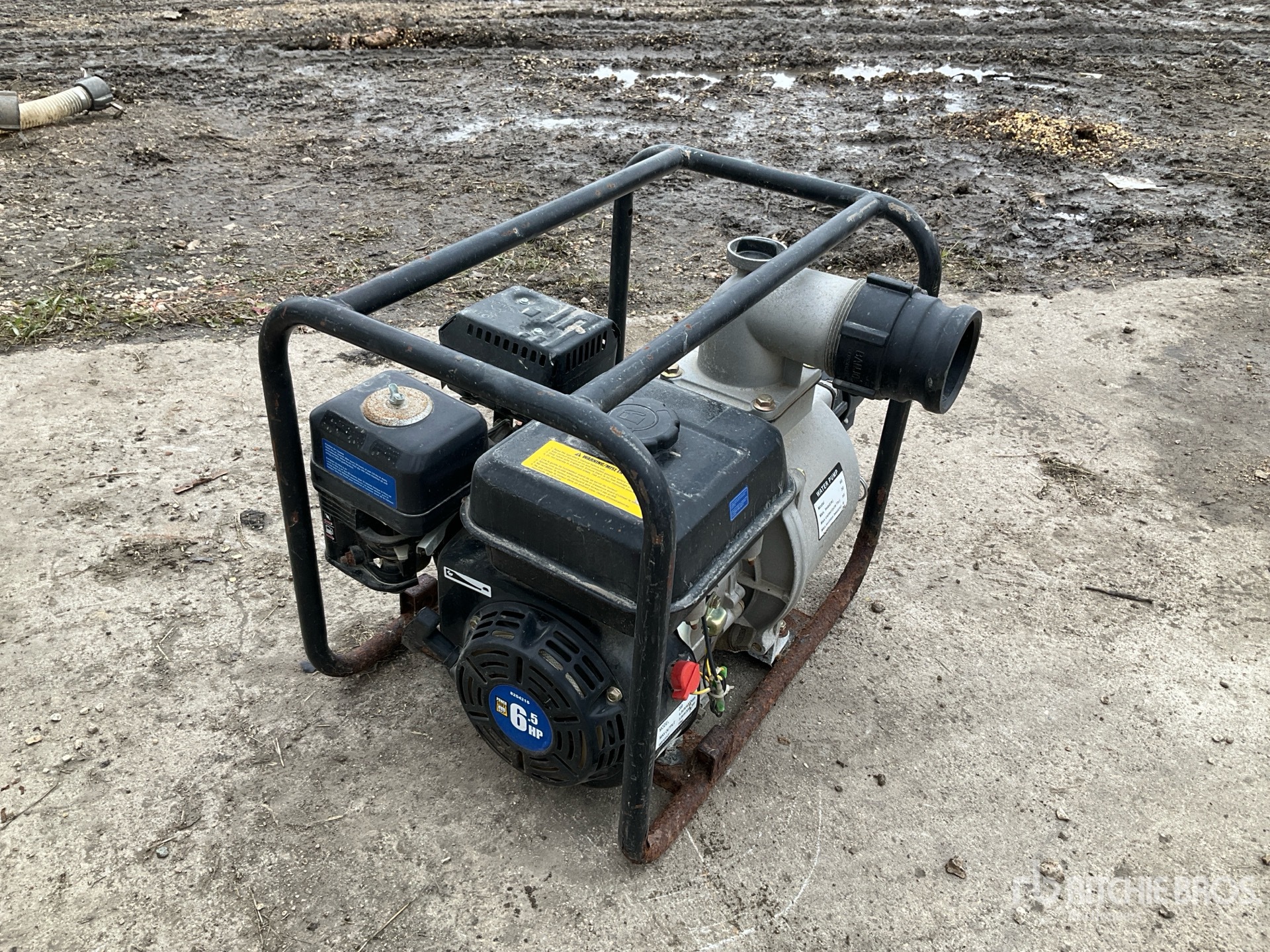 General Appearance with