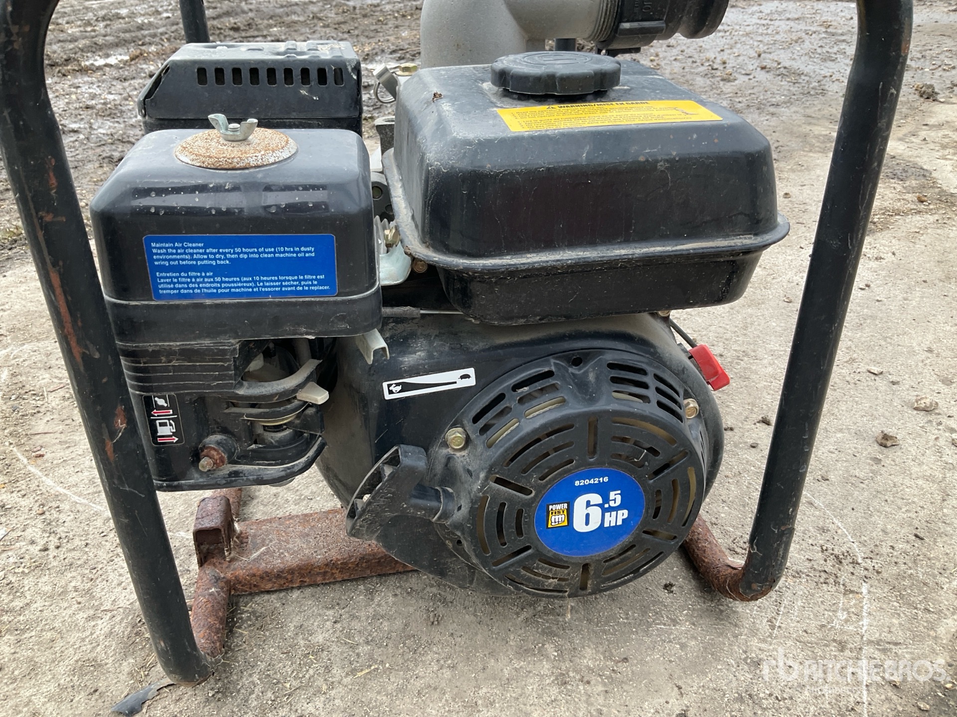 General Appearance with