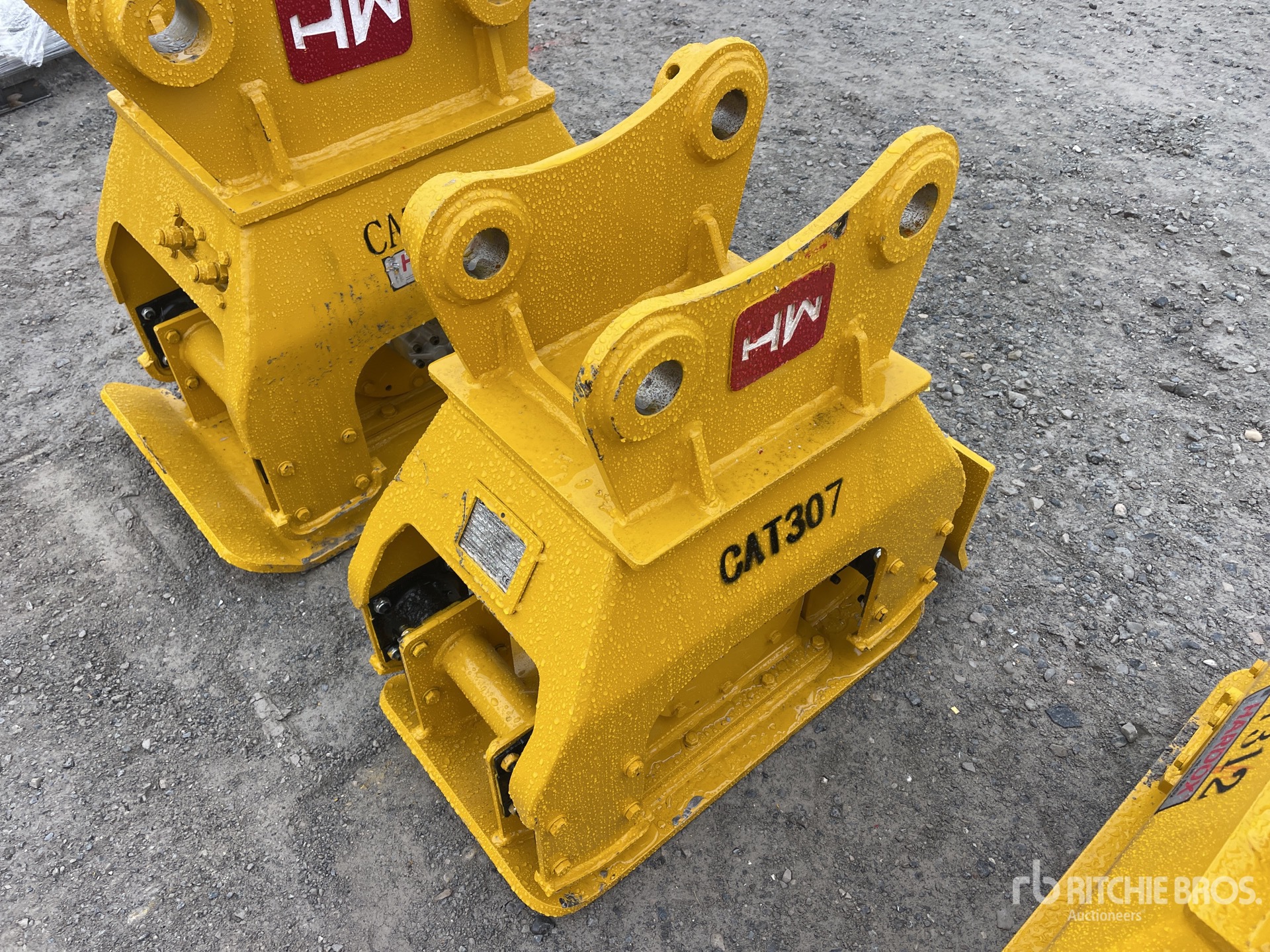 General Appearance with Zdjęcie, prawy dolny róg