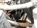 Motor with