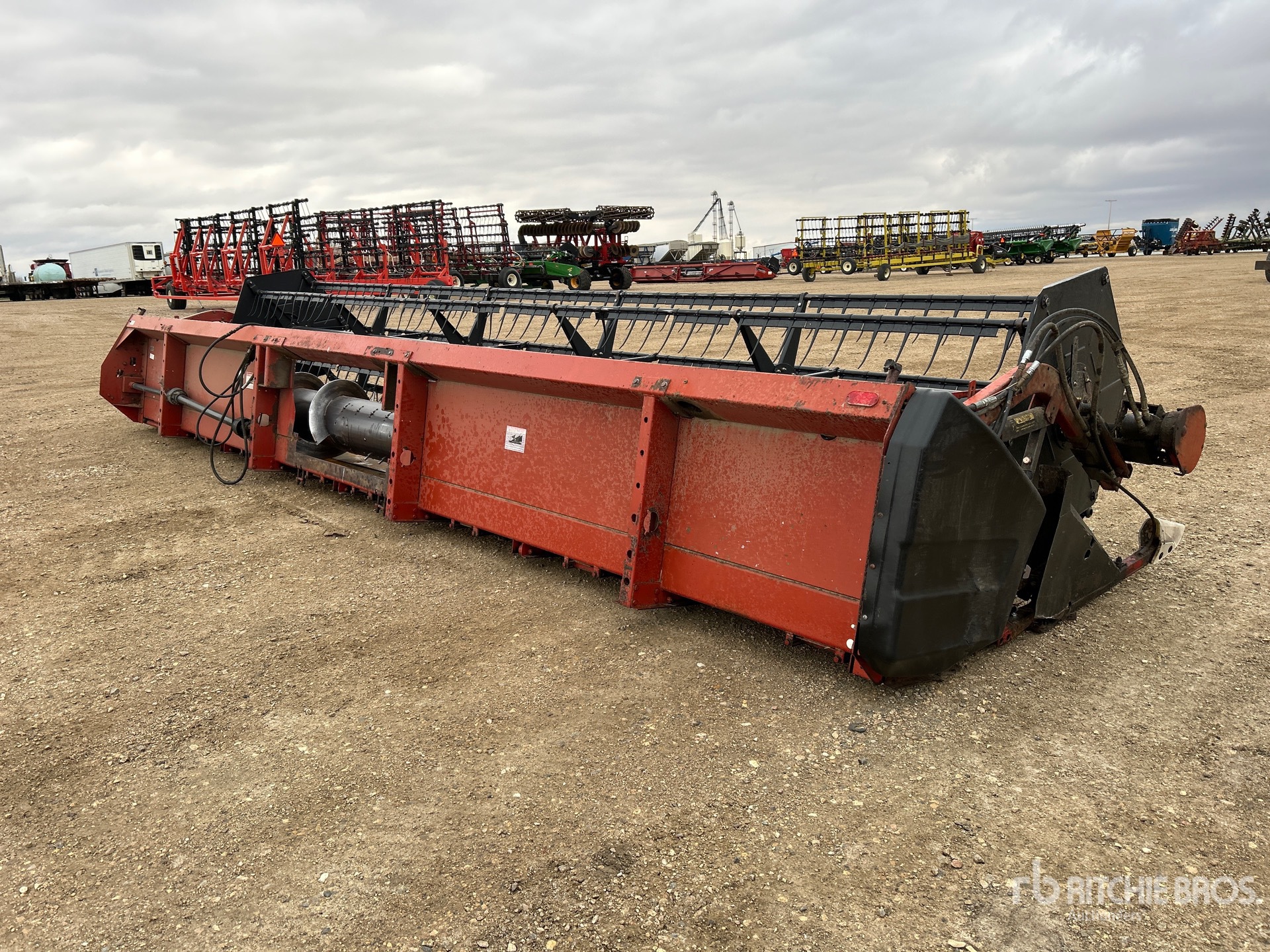 General Appearance with Zdjęcie, prawy dolny róg