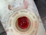 Motor with Radiador