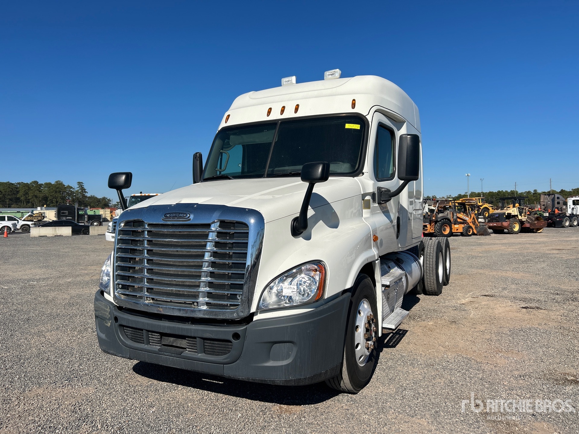 General Appearance with Spin