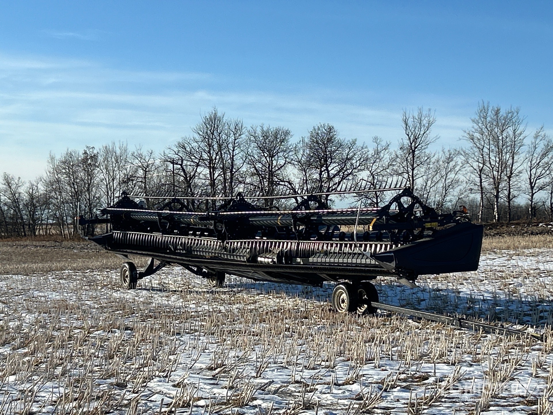 General Appearance with Foto, angolo anteriore sinistro