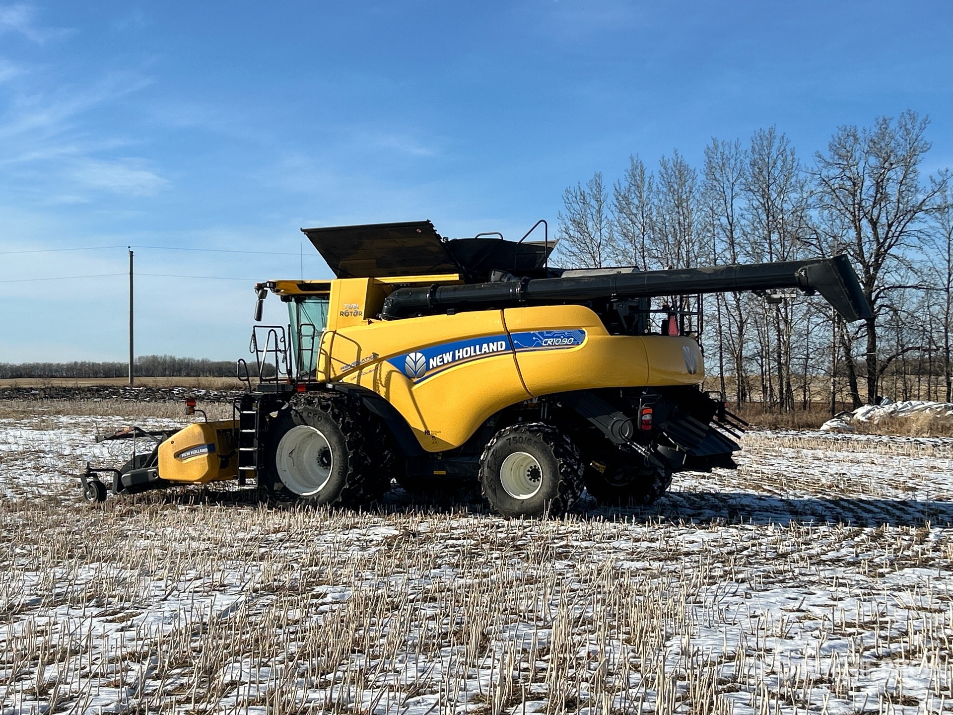 General Appearance with Zdjęcie, lewy dolny róg