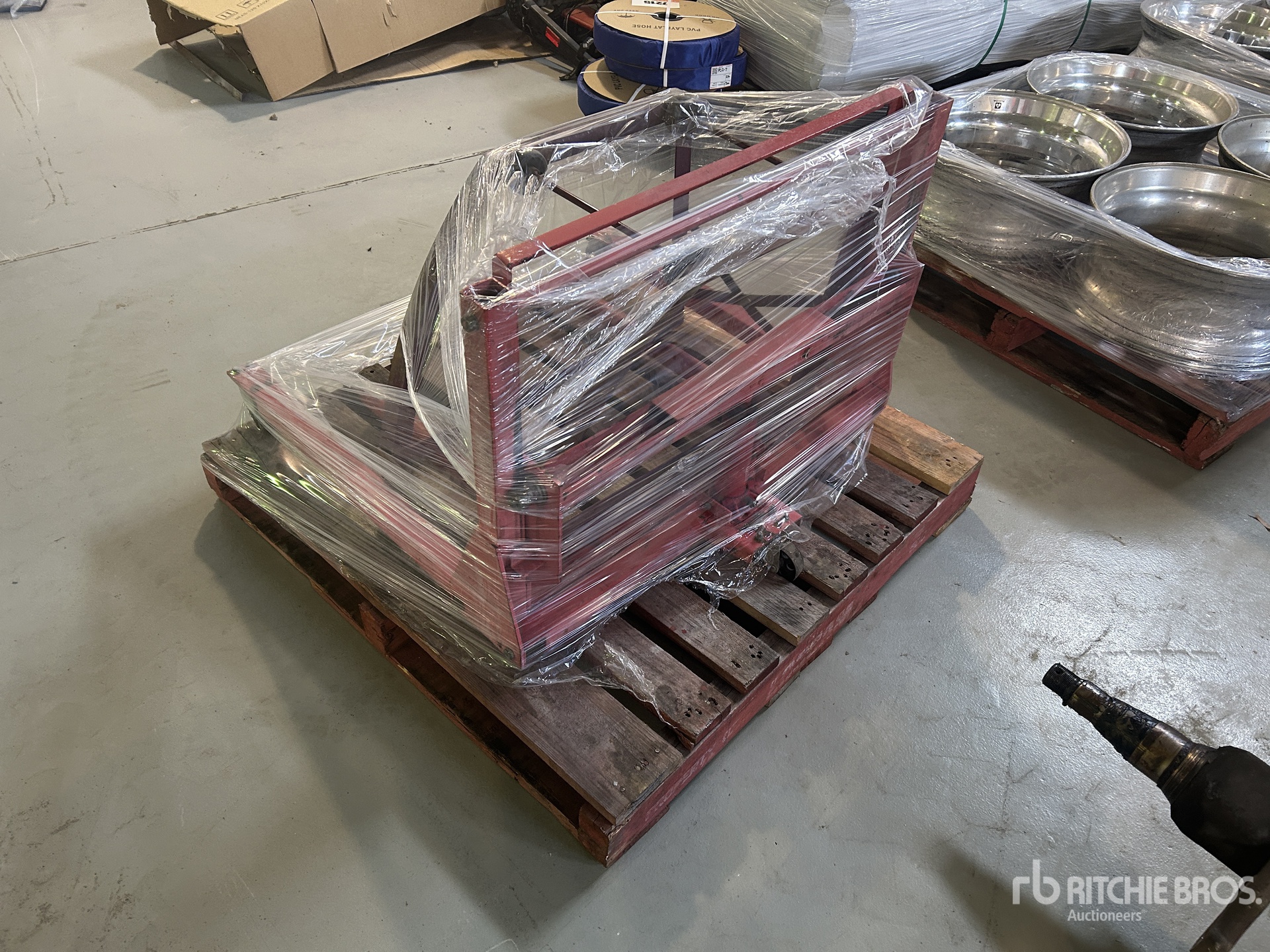 General Appearance with 