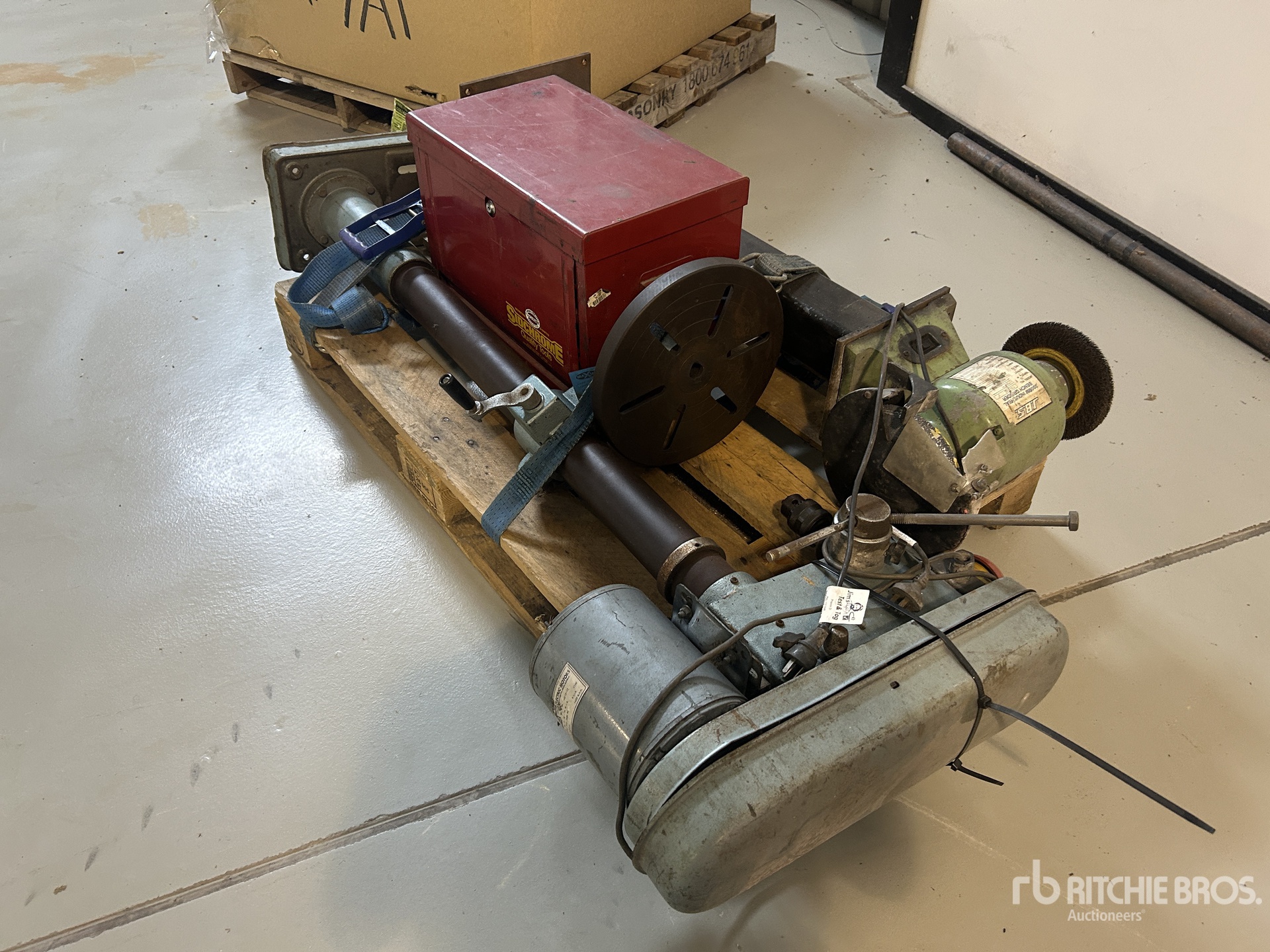 General Appearance with