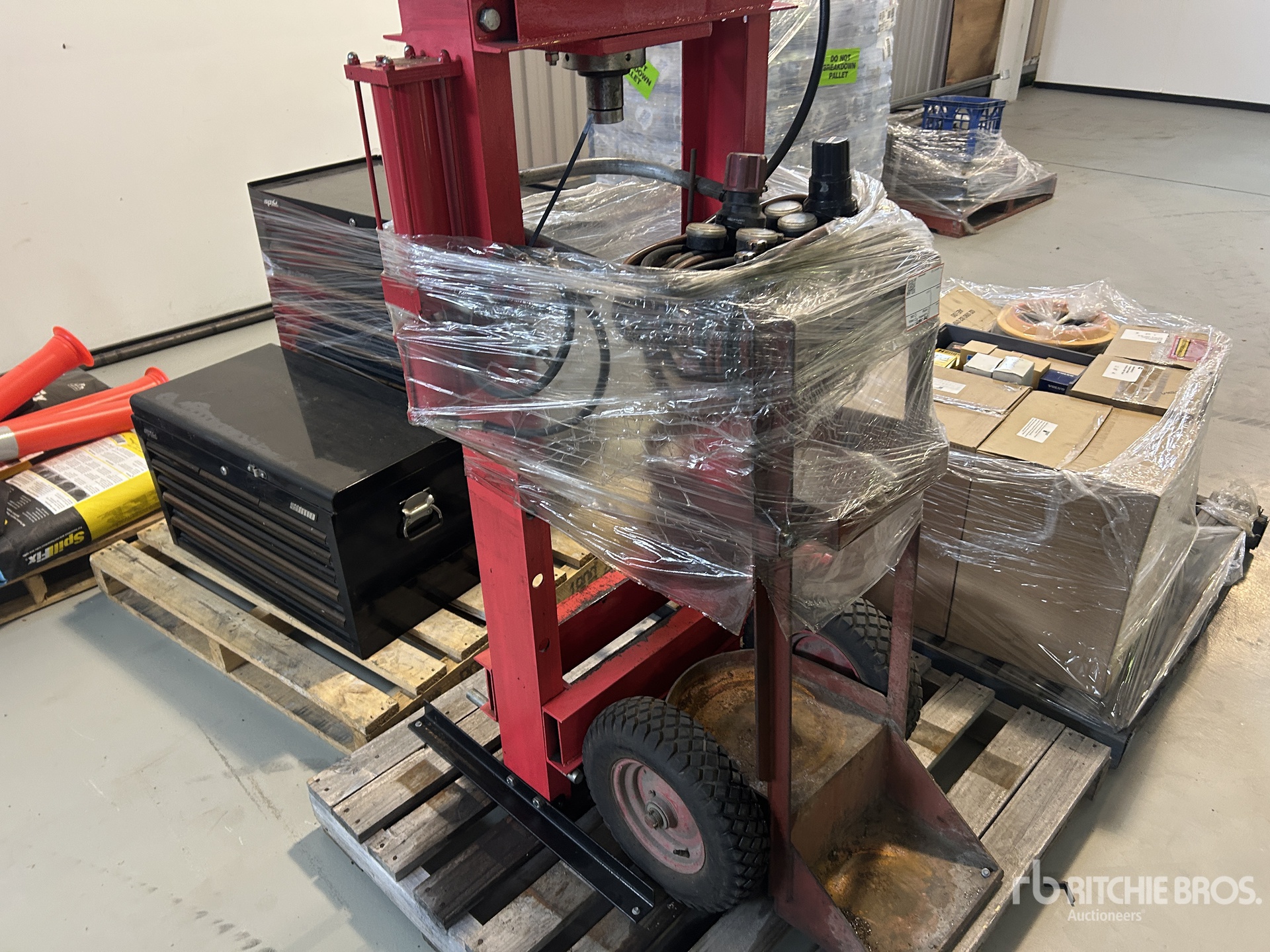 General Appearance with