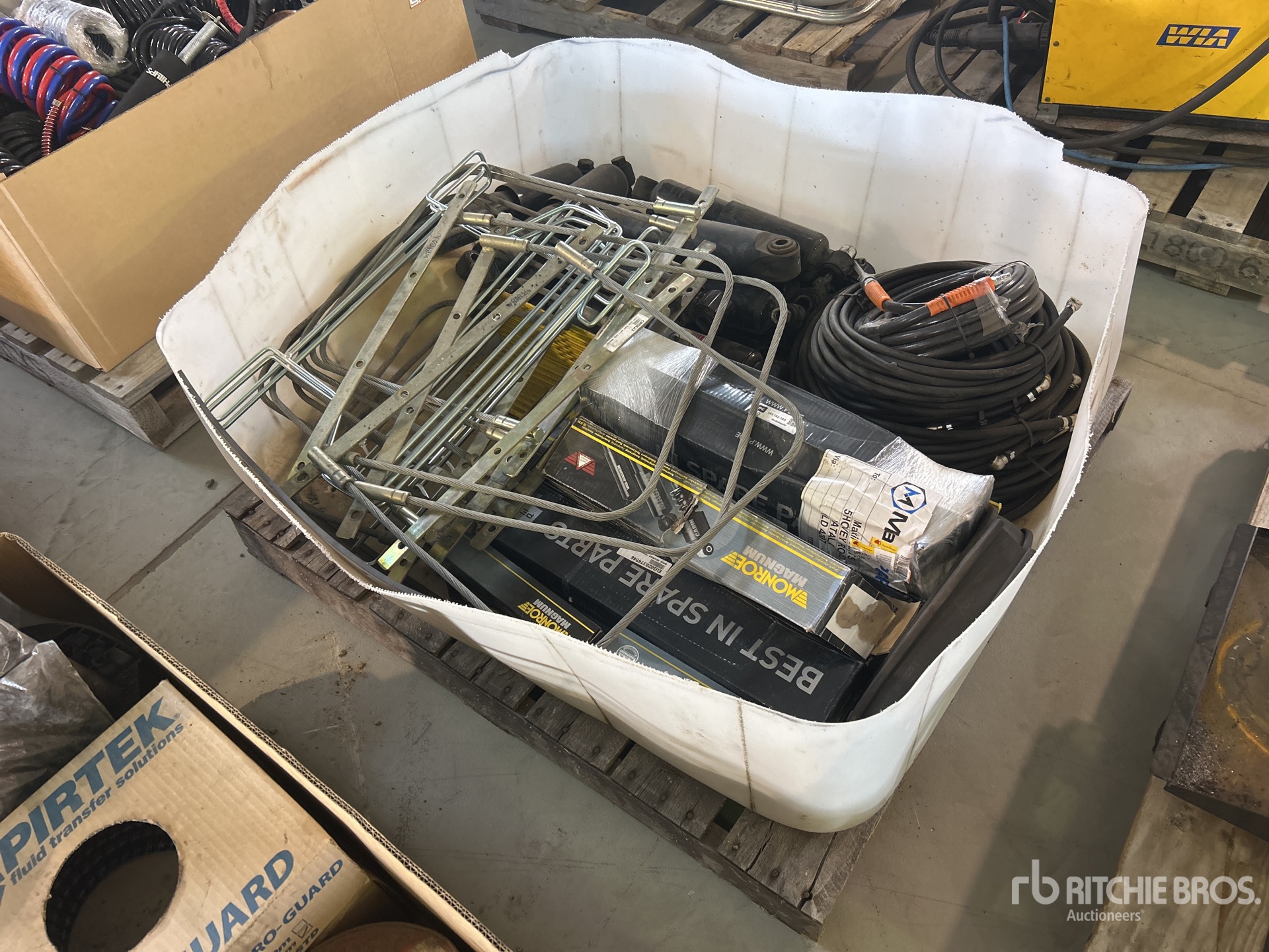 General Appearance with Zdjęcie, prawy dolny róg