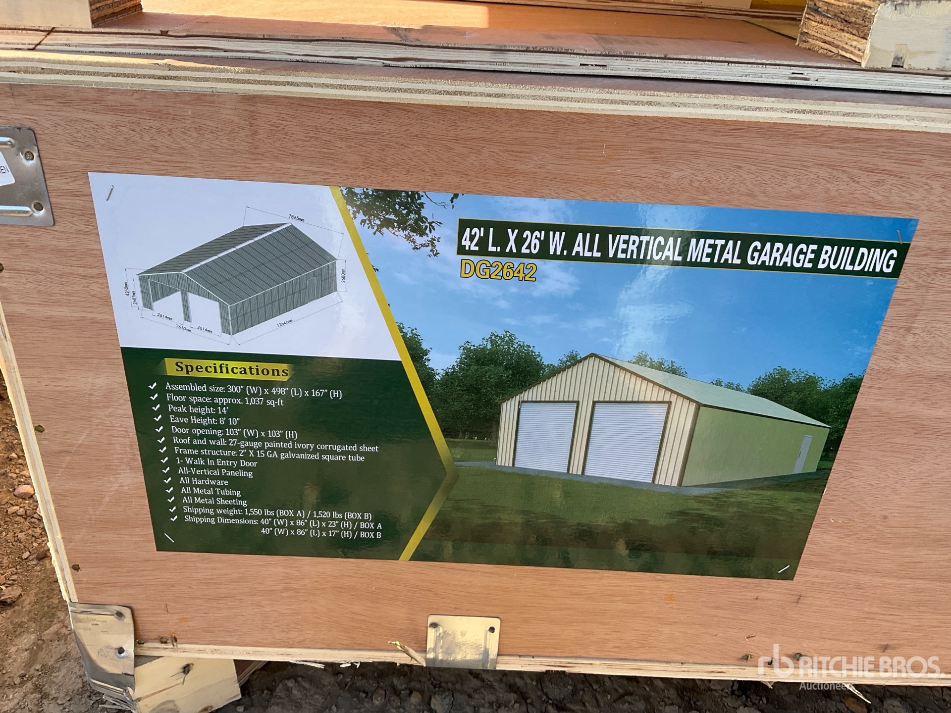 General Appearance with 