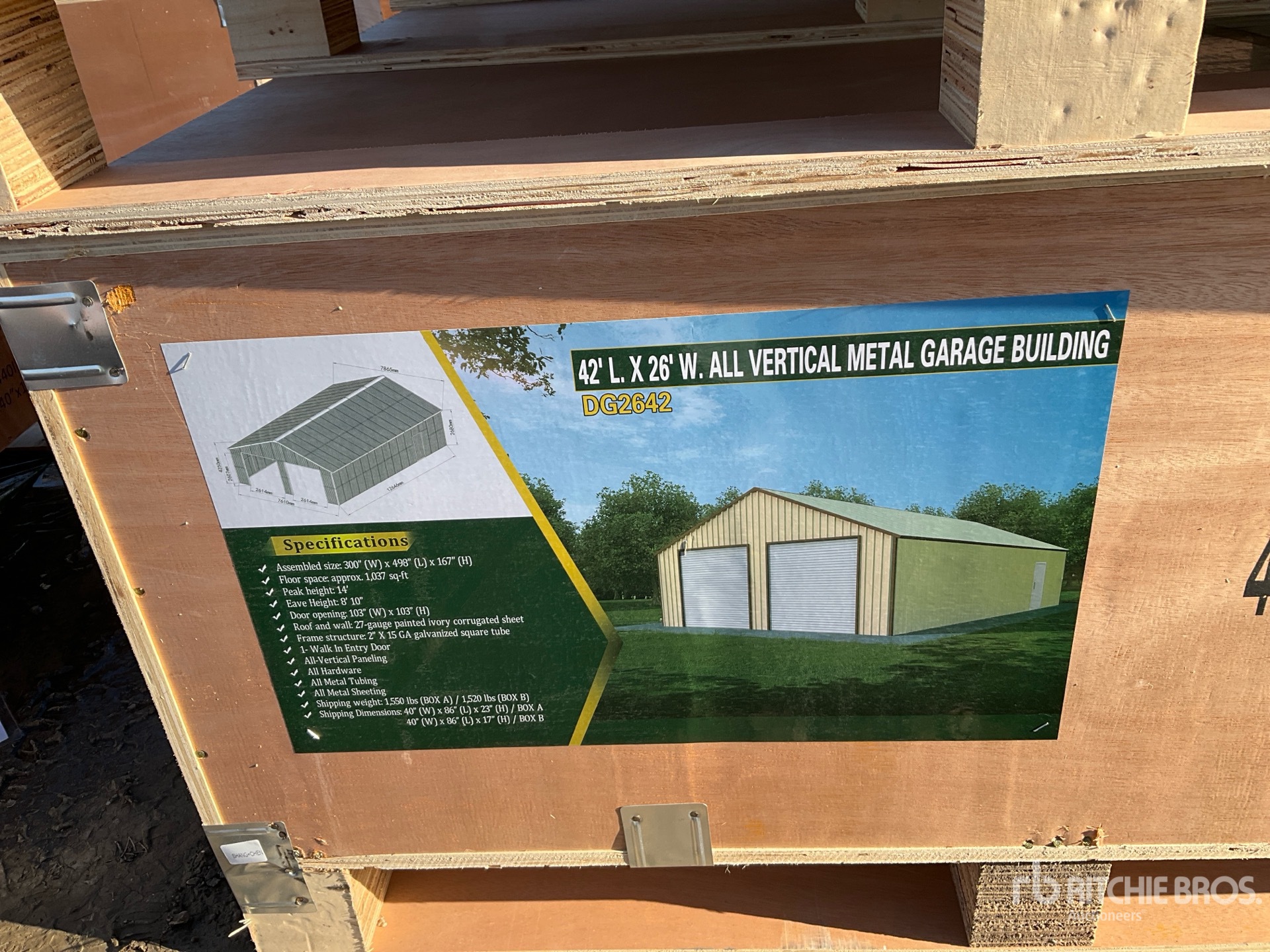 General Appearance with 