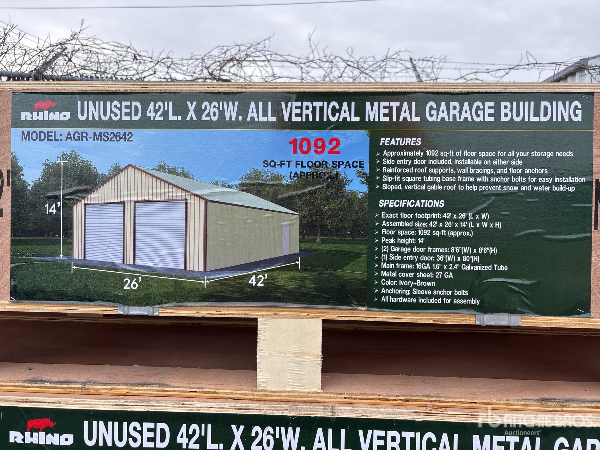 General Appearance with 