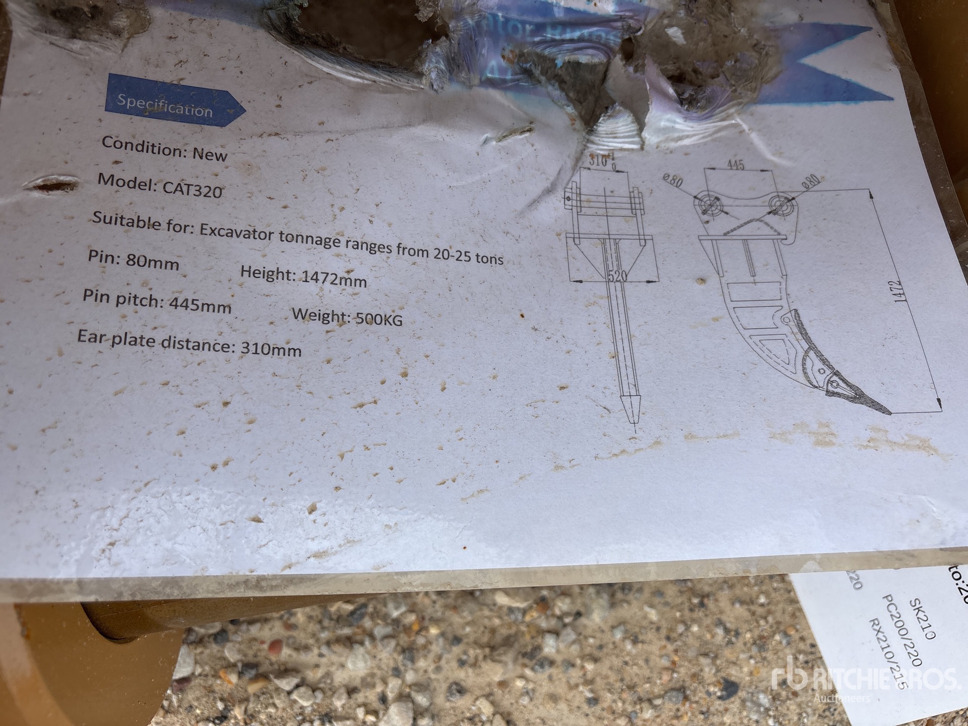 General Appearance with