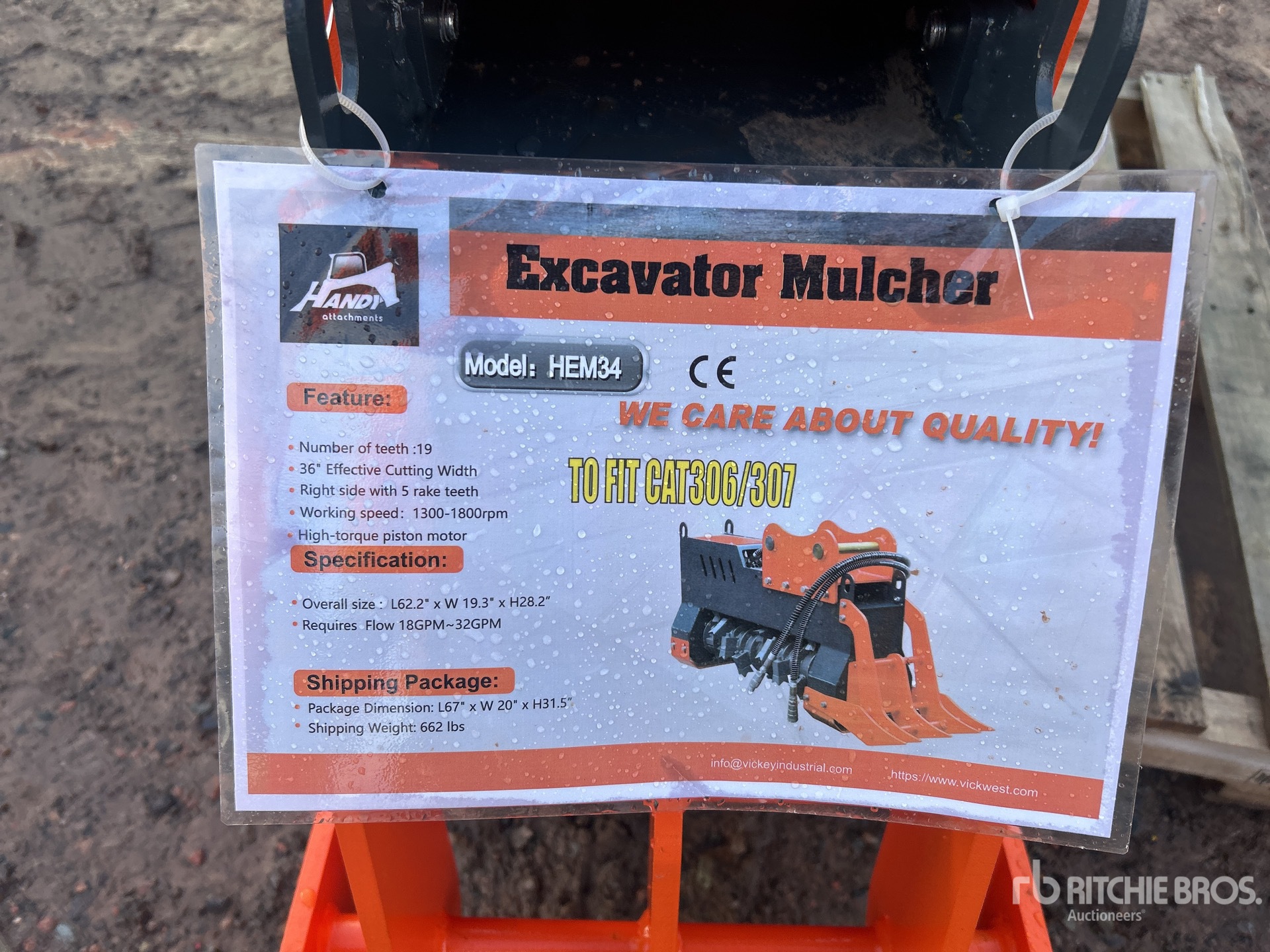 General Appearance with 